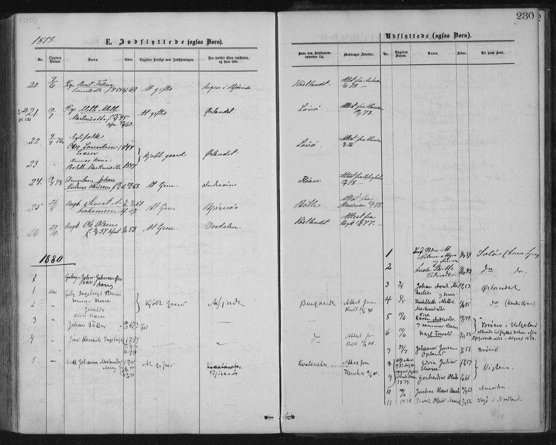 Ministerialprotokoller, klokkerbøker og fødselsregistre - Nord-Trøndelag, SAT/A-1458/771/L0596: Parish register (official) no. 771A03, 1870-1884, p. 230