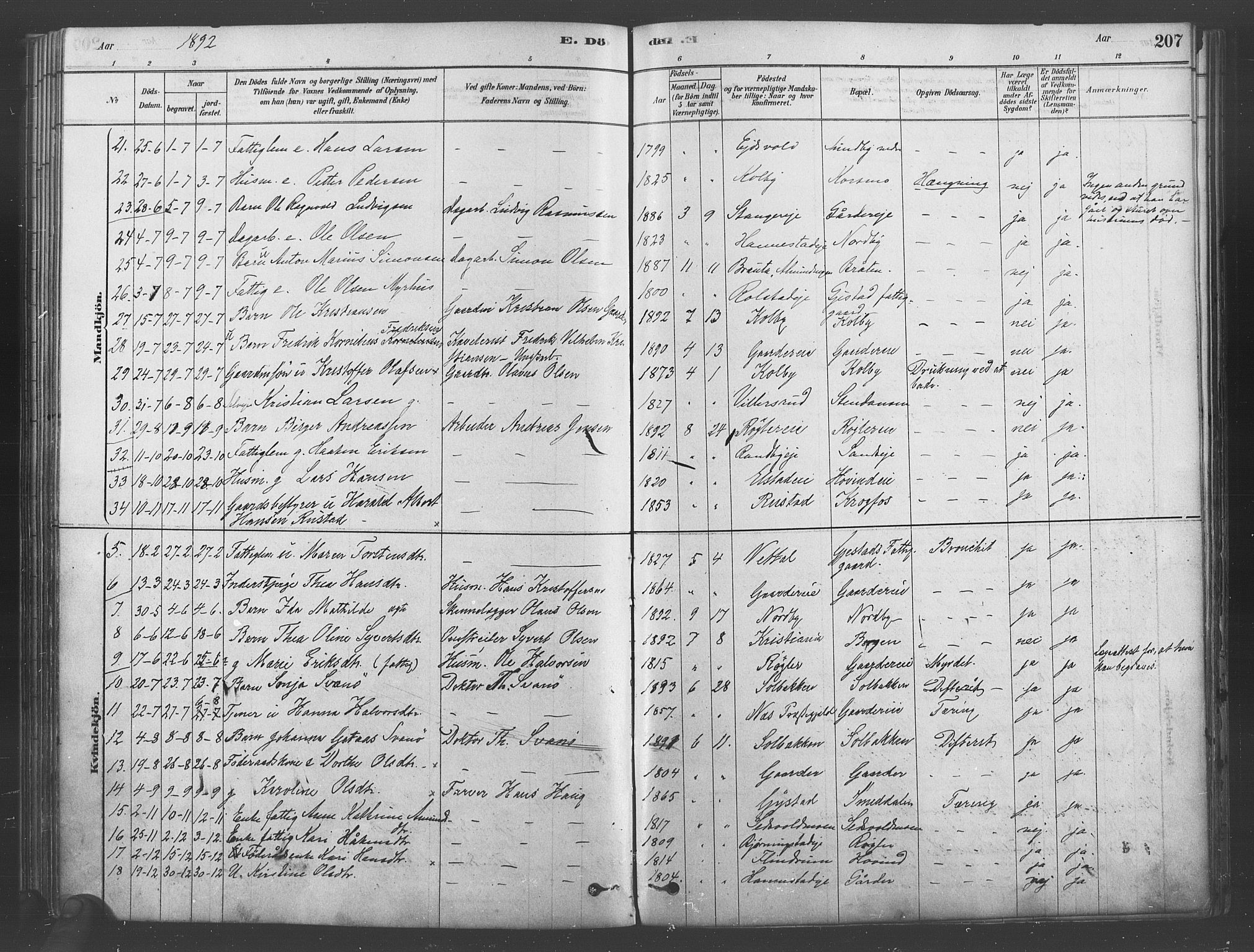 Ullensaker prestekontor Kirkebøker, SAO/A-10236a/F/Fb/L0001: Parish register (official) no. II 1, 1878-1893, p. 207