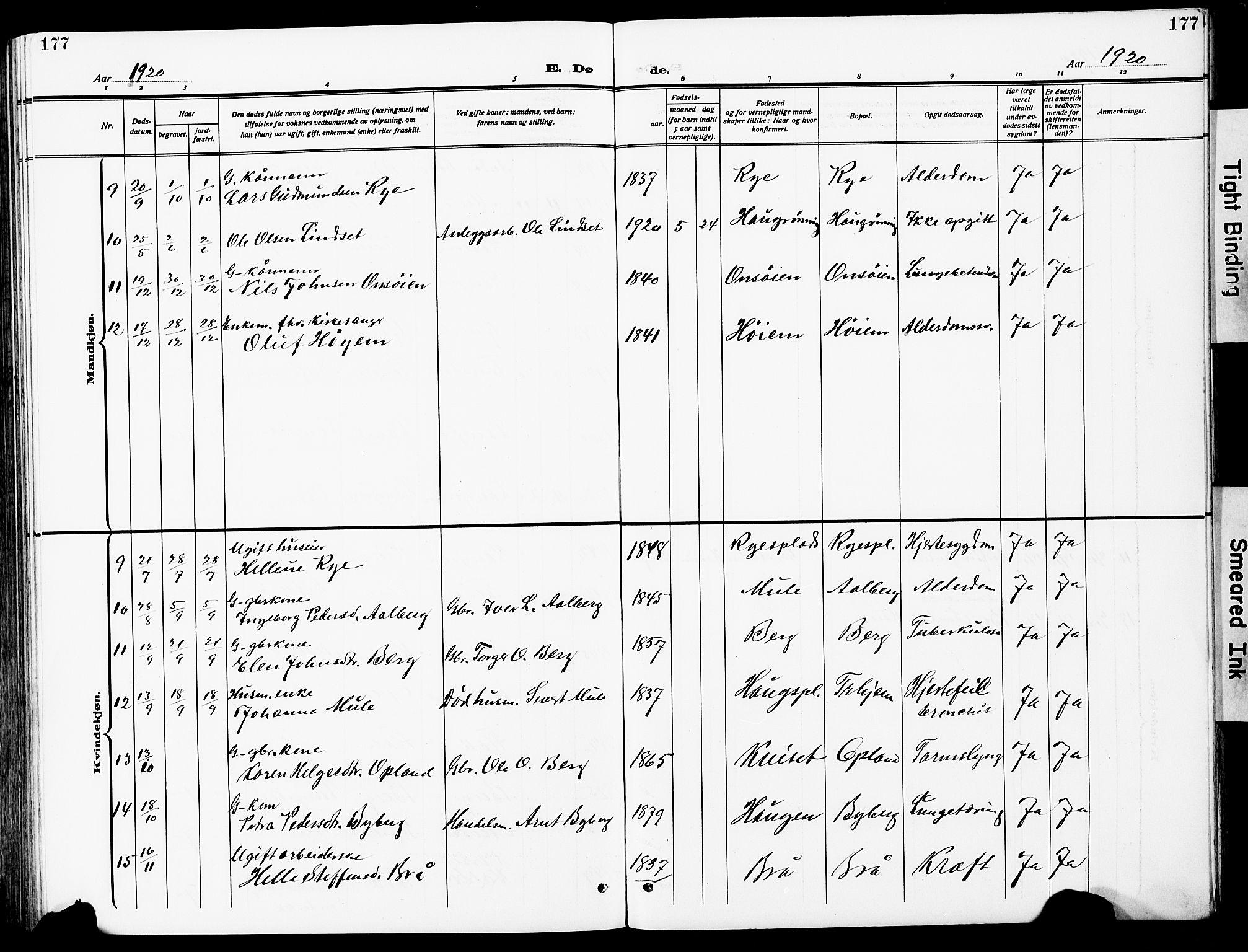 Ministerialprotokoller, klokkerbøker og fødselsregistre - Sør-Trøndelag, AV/SAT-A-1456/612/L0388: Parish register (copy) no. 612C04, 1909-1929, p. 177