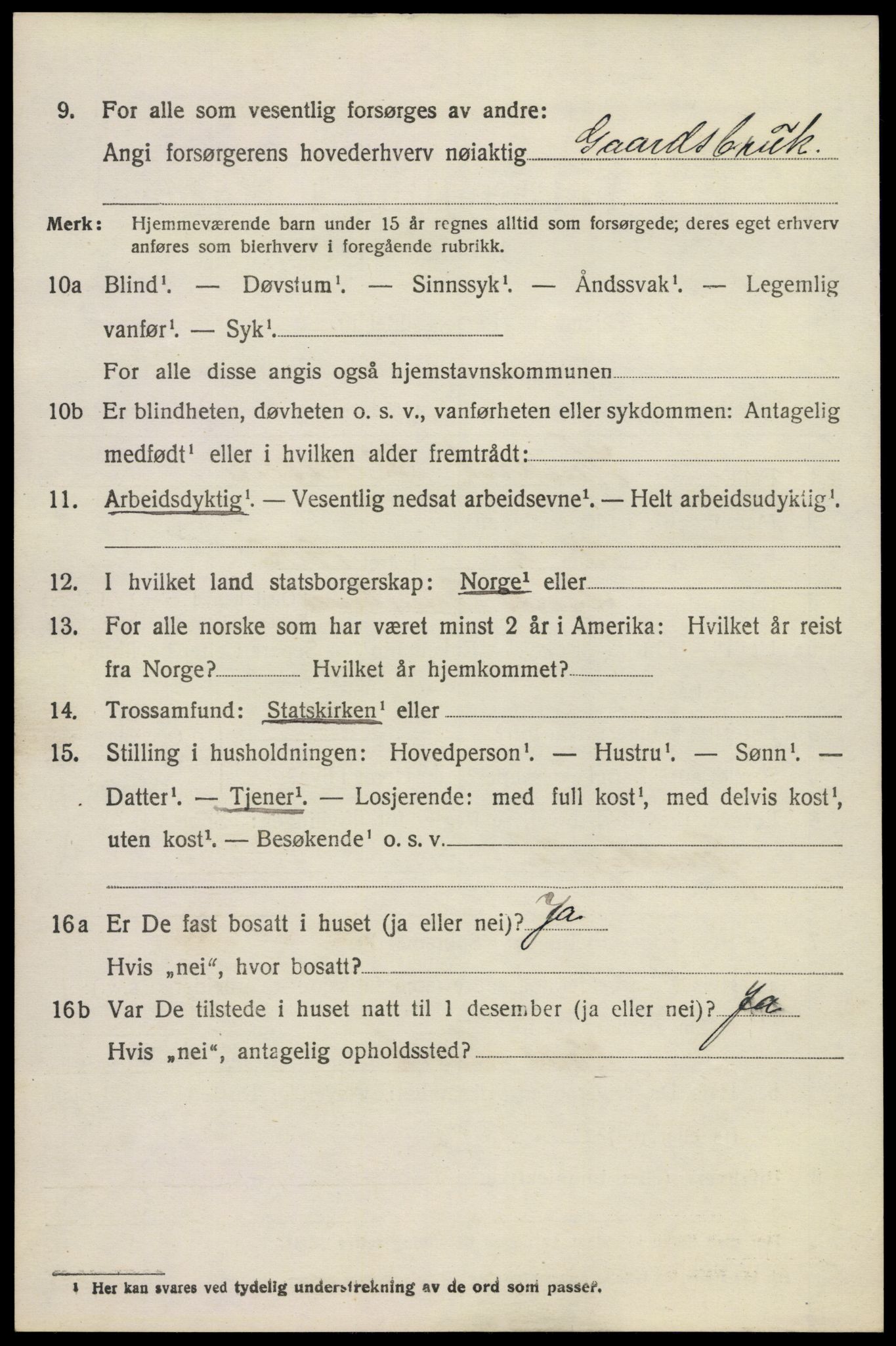 SAKO, 1920 census for Brunlanes, 1920, p. 4490