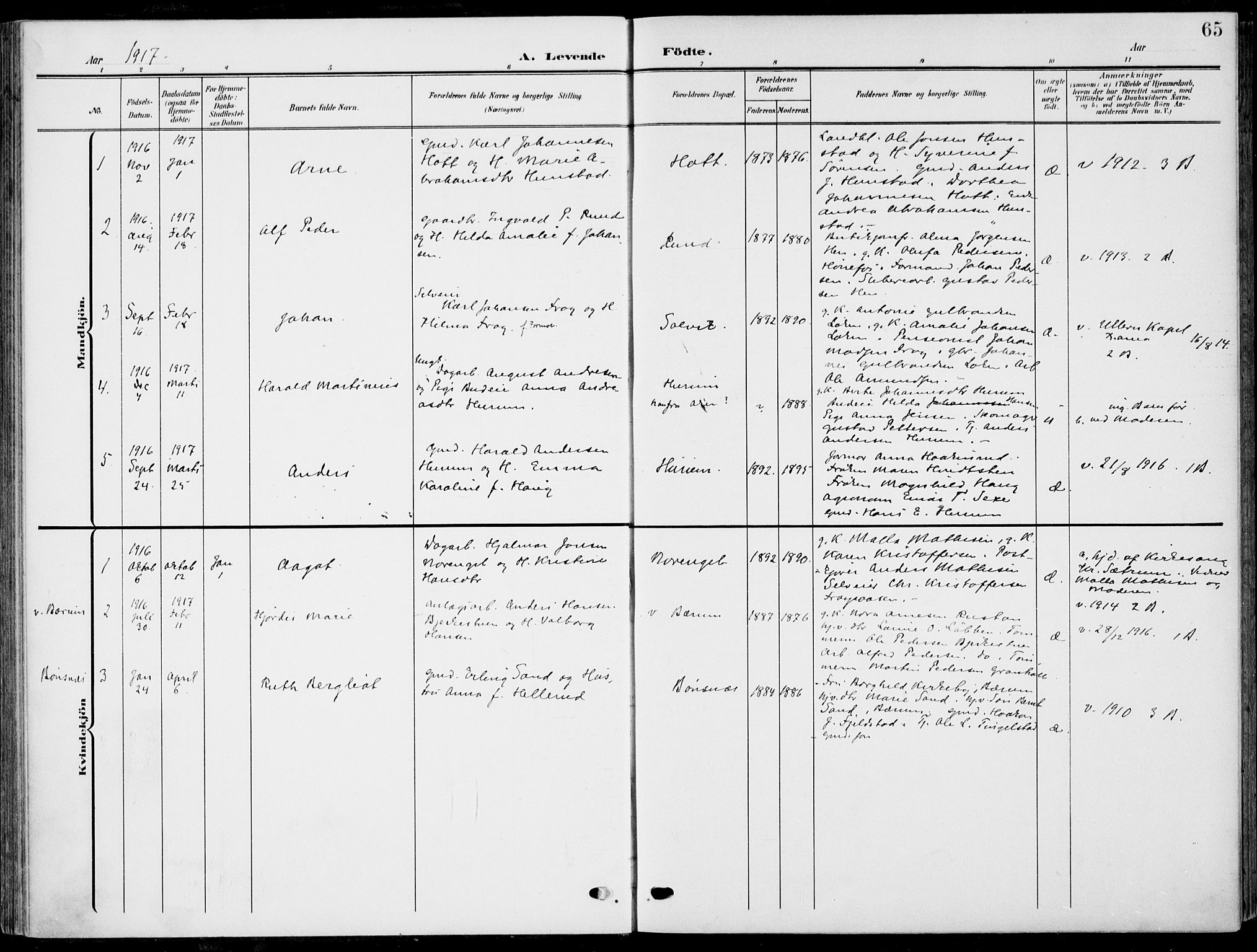 Hole kirkebøker, SAKO/A-228/F/Fa/L0010: Parish register (official) no. I 10, 1907-1917, p. 65