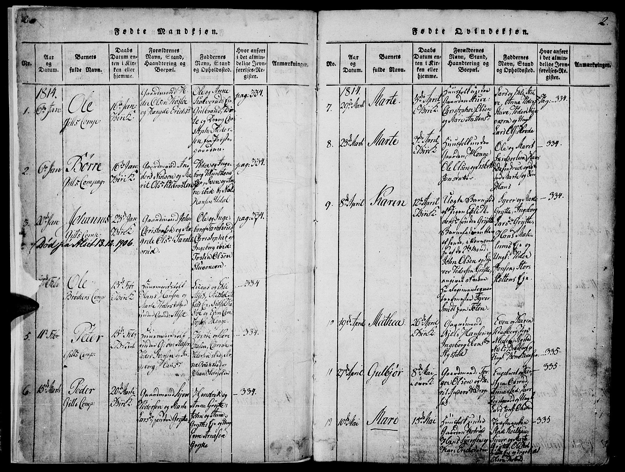 Biri prestekontor, AV/SAH-PREST-096/H/Ha/Haa/L0003: Parish register (official) no. 3, 1814-1828, p. 2