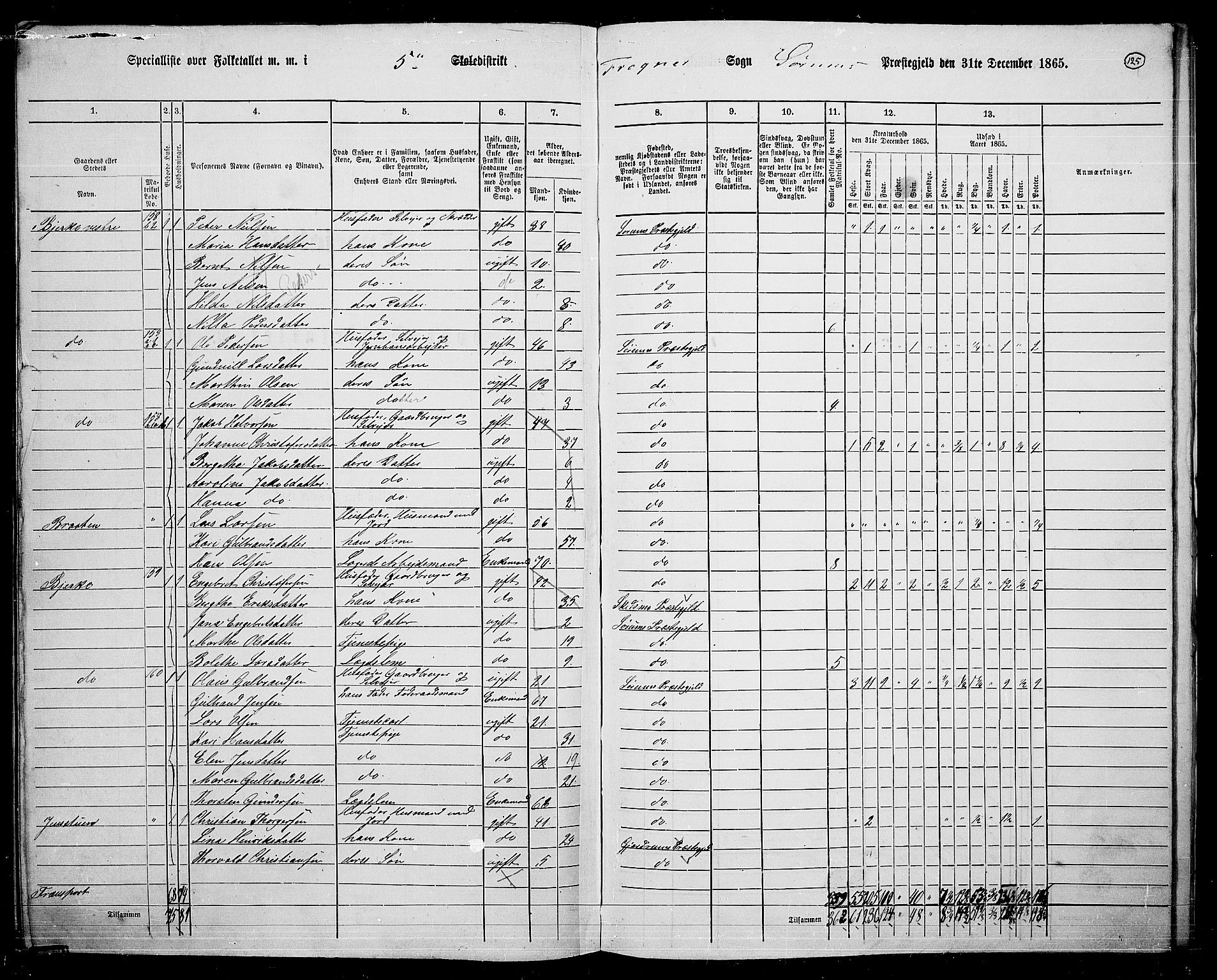 RA, 1865 census for Sørum, 1865, p. 113