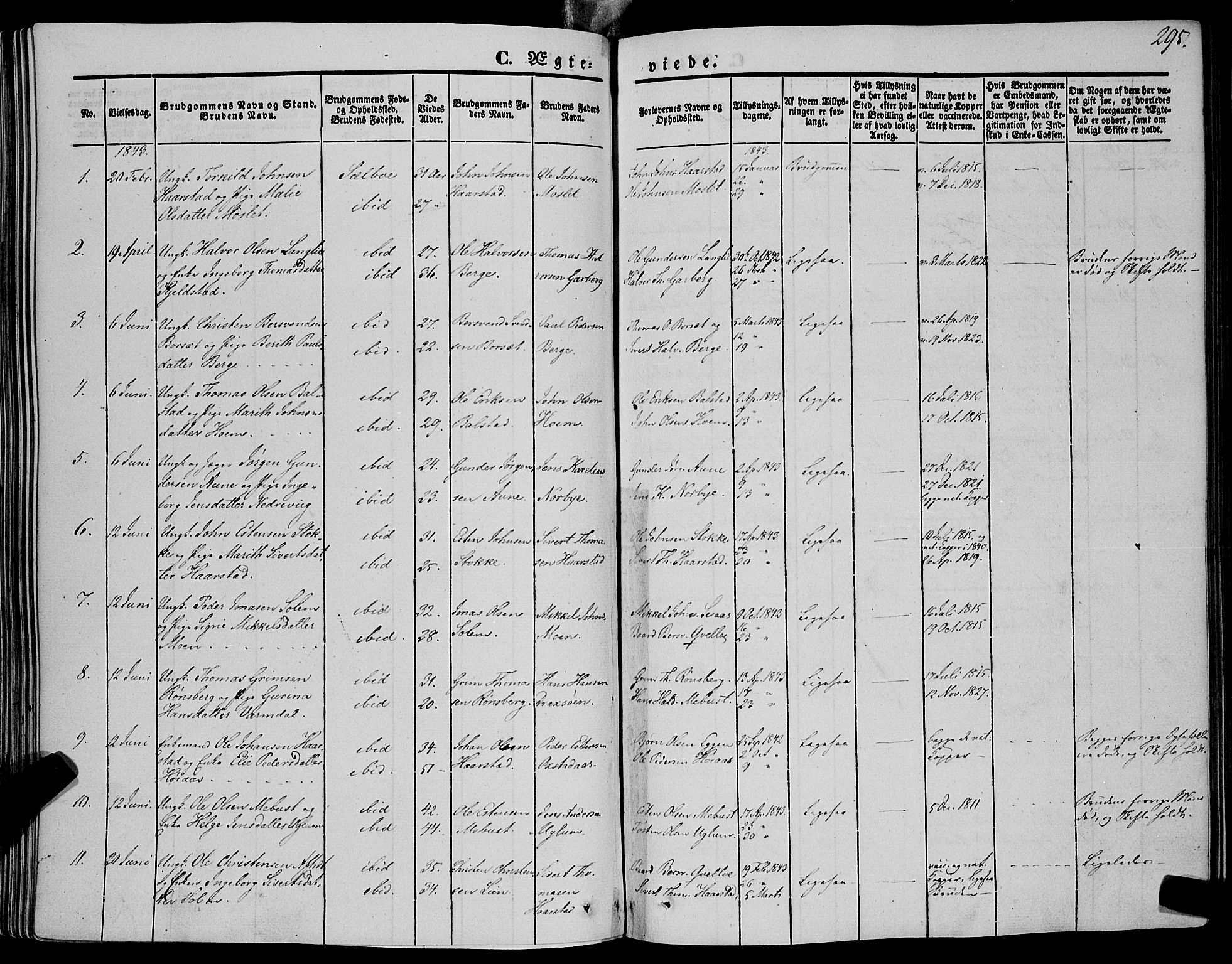 Ministerialprotokoller, klokkerbøker og fødselsregistre - Sør-Trøndelag, SAT/A-1456/695/L1145: Parish register (official) no. 695A06 /1, 1843-1859, p. 295