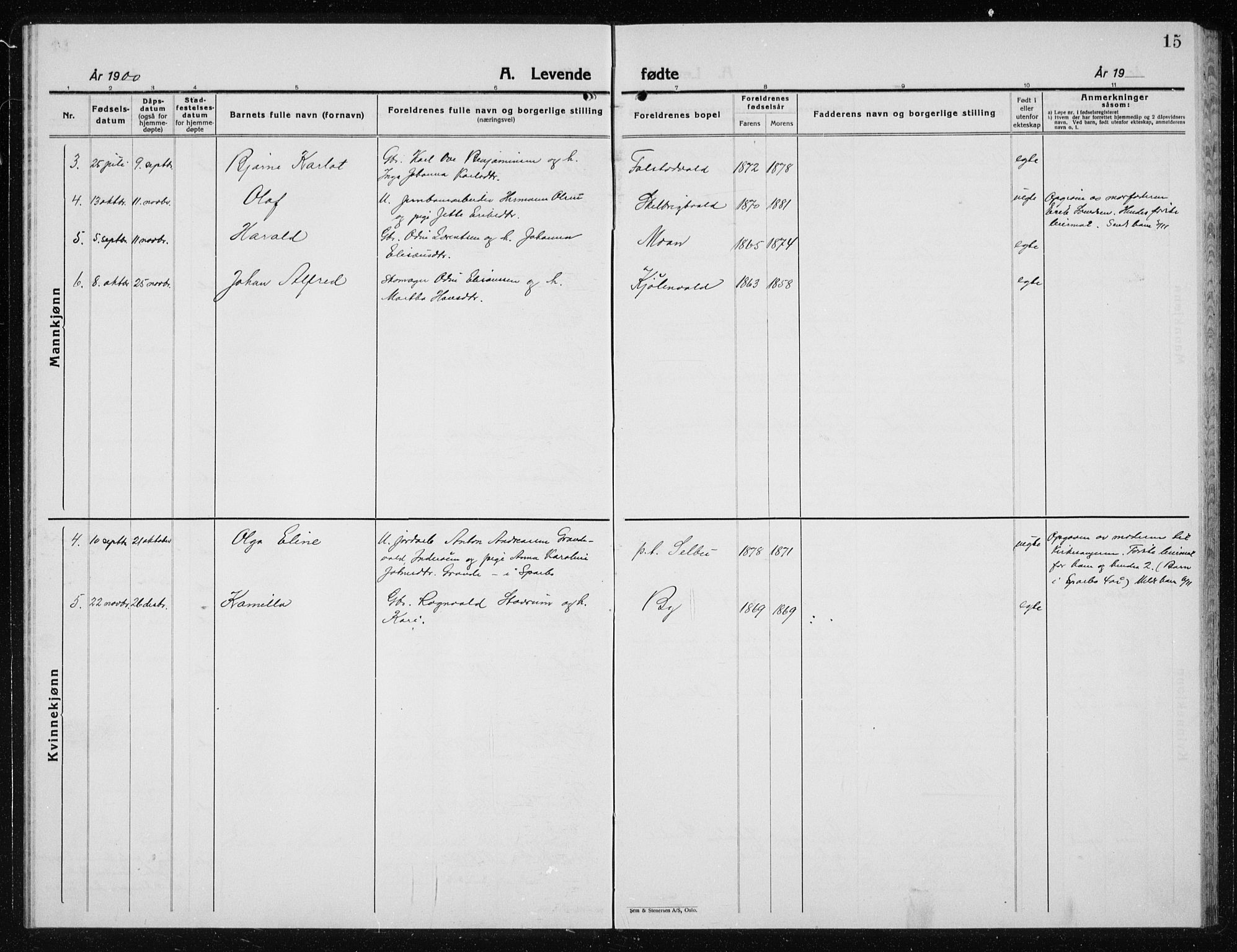 Ministerialprotokoller, klokkerbøker og fødselsregistre - Nord-Trøndelag, SAT/A-1458/719/L0180: Parish register (copy) no. 719C01, 1878-1940, p. 15
