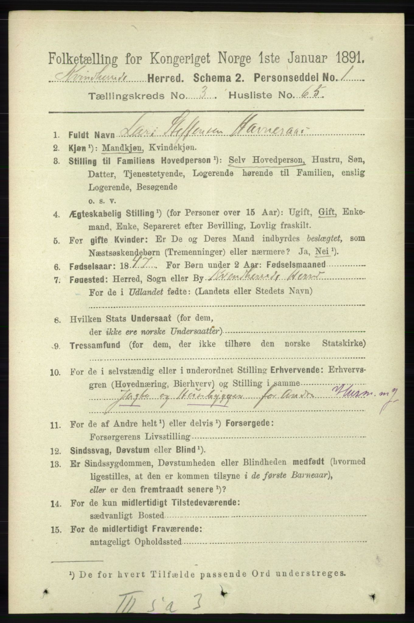 RA, 1891 census for 1224 Kvinnherad, 1891, p. 1321