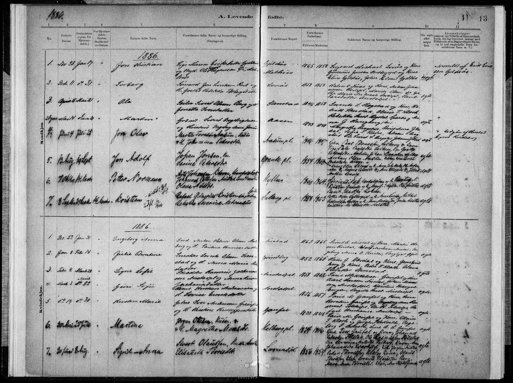 Ministerialprotokoller, klokkerbøker og fødselsregistre - Nord-Trøndelag, SAT/A-1458/731/L0309: Parish register (official) no. 731A01, 1879-1918, p. 13