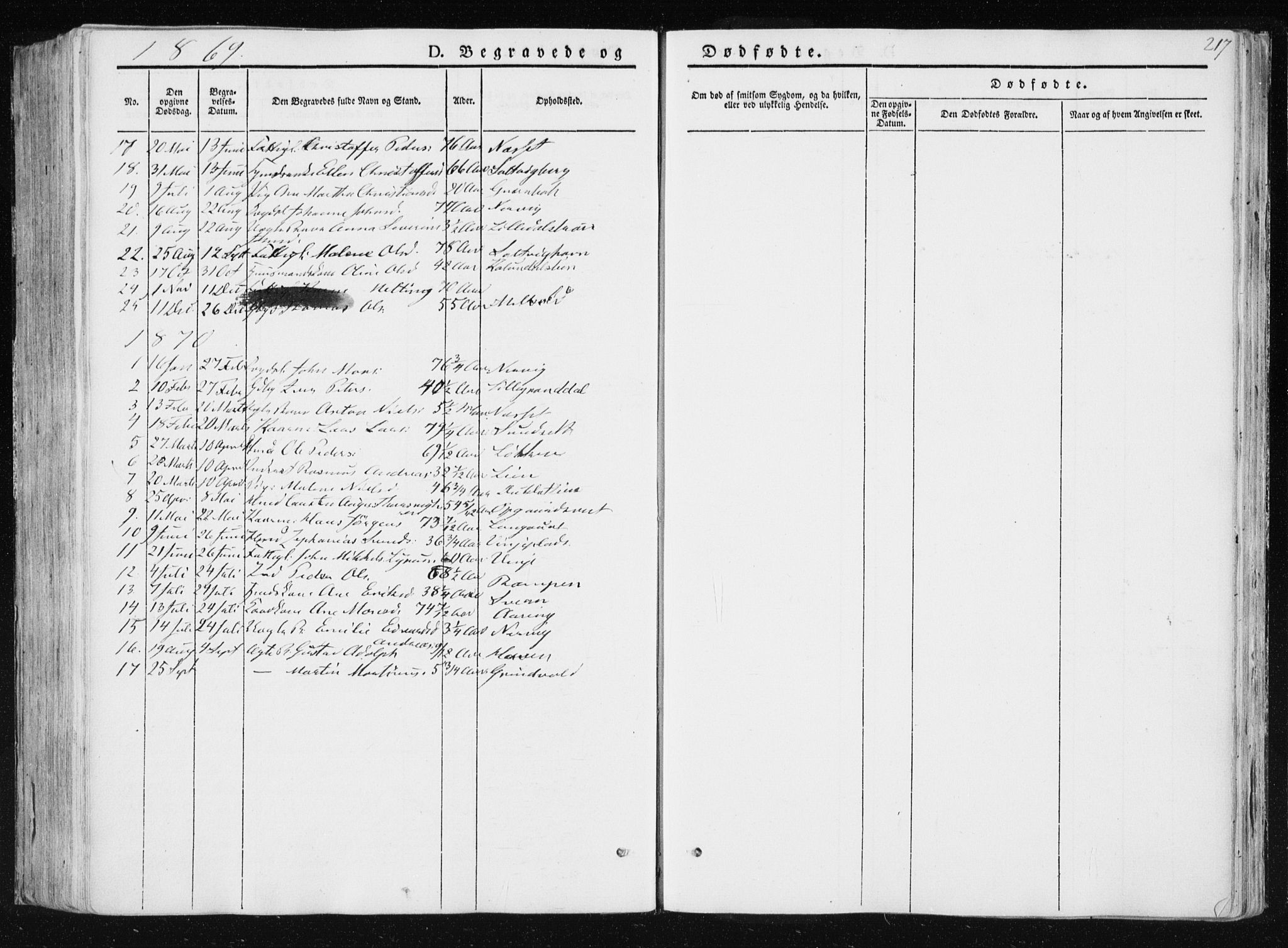 Ministerialprotokoller, klokkerbøker og fødselsregistre - Nord-Trøndelag, AV/SAT-A-1458/733/L0323: Parish register (official) no. 733A02, 1843-1870, p. 217