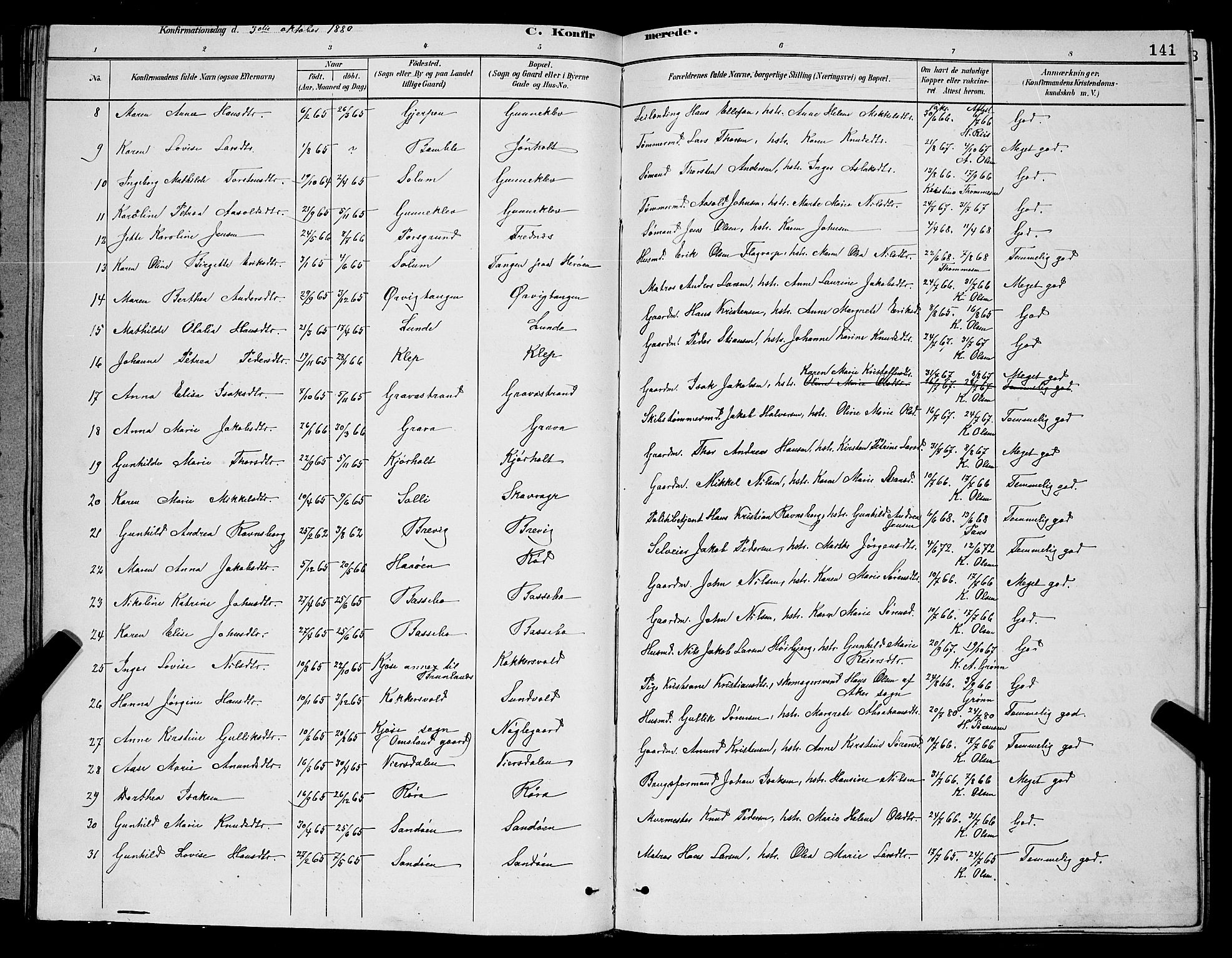 Eidanger kirkebøker, AV/SAKO-A-261/G/Ga/L0002: Parish register (copy) no. 2, 1879-1892, p. 141