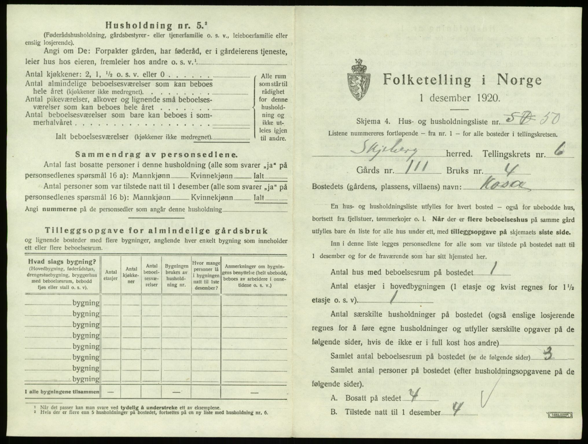 SAO, 1920 census for Skjeberg, 1920, p. 876