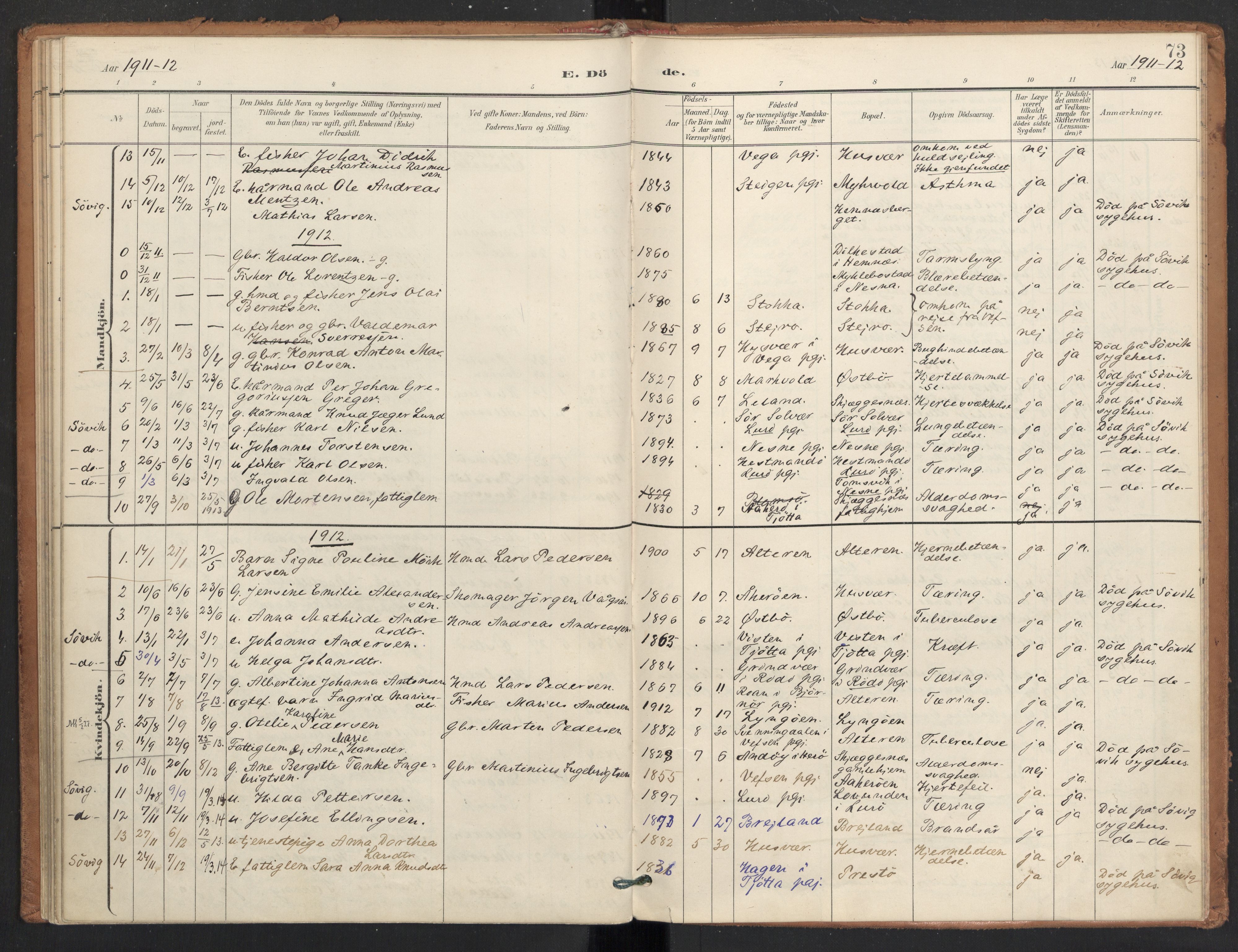 Ministerialprotokoller, klokkerbøker og fødselsregistre - Nordland, SAT/A-1459/830/L0454: Parish register (official) no. 830A18, 1897-1913, p. 73