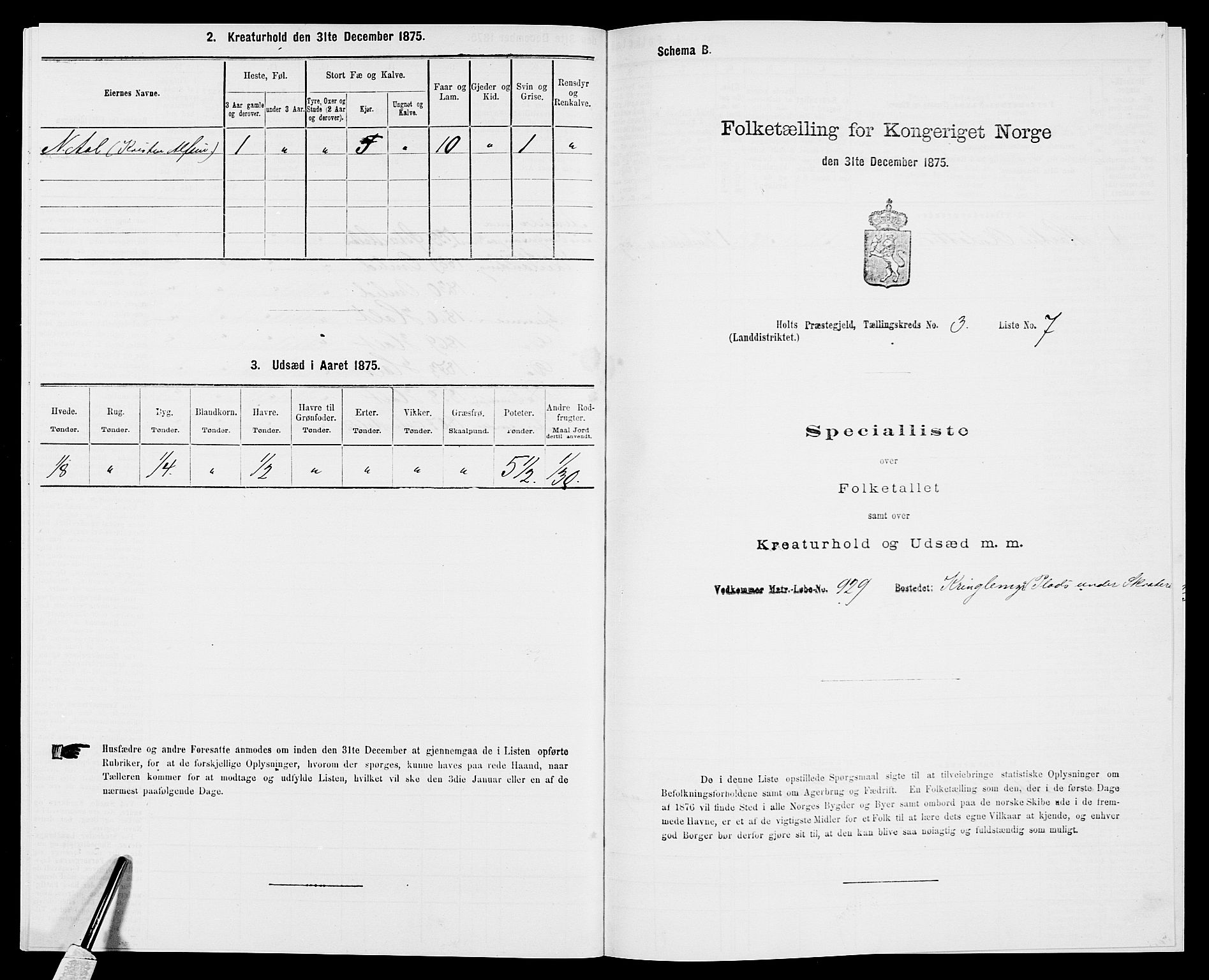 SAK, 1875 census for 0914L Holt/Holt, 1875, p. 418