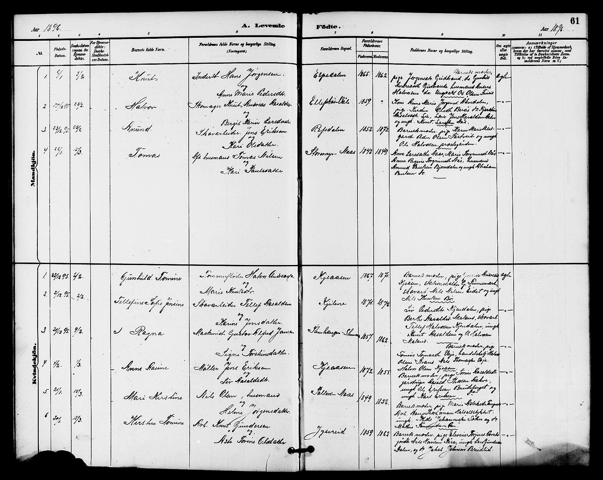 Drangedal kirkebøker, SAKO/A-258/G/Ga/L0003: Parish register (copy) no. I 3, 1887-1906, p. 61