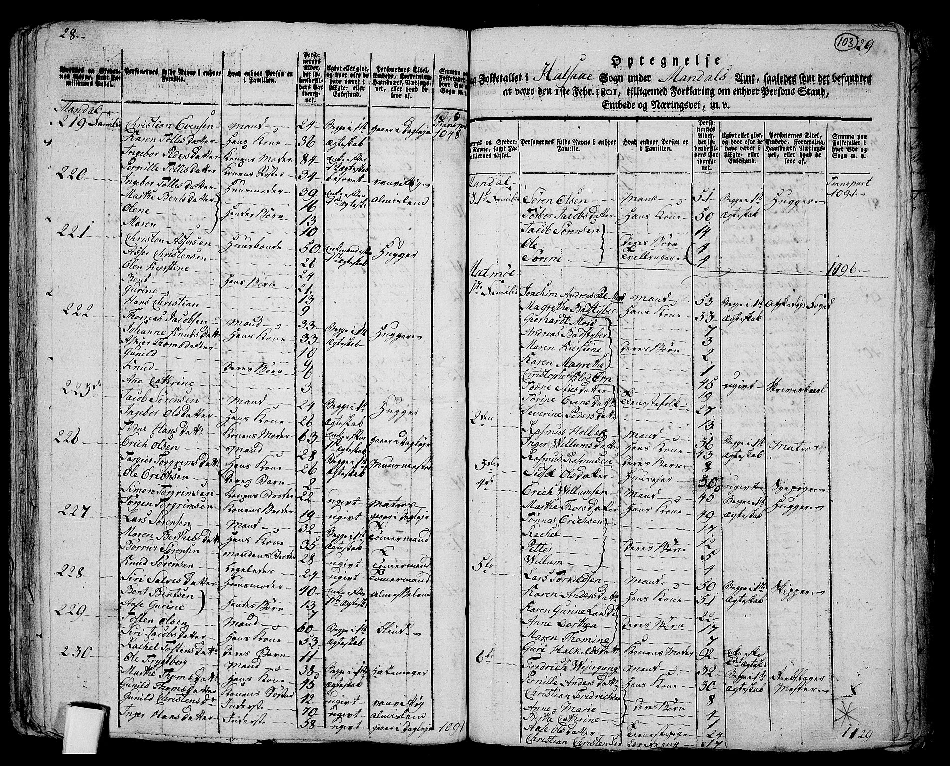 RA, 1801 census for 1019P Mandal, 1801, p. 102b-103a