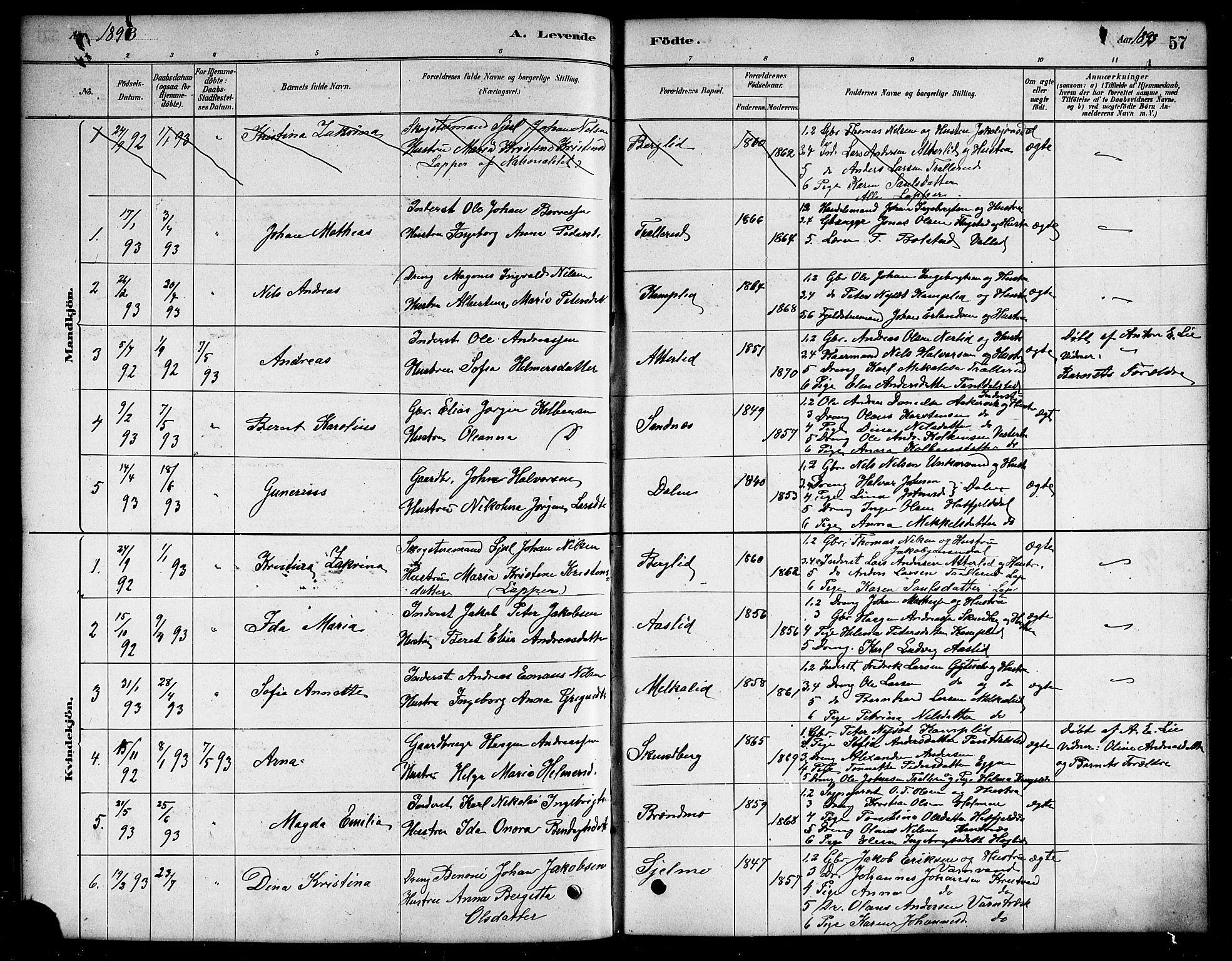 Ministerialprotokoller, klokkerbøker og fødselsregistre - Nordland, AV/SAT-A-1459/823/L0330: Parish register (copy) no. 823C02, 1879-1916, p. 57