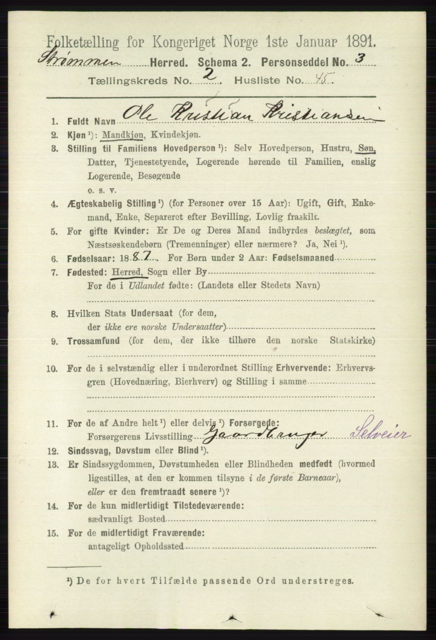 RA, 1891 census for 0711 Strømm, 1891, p. 963