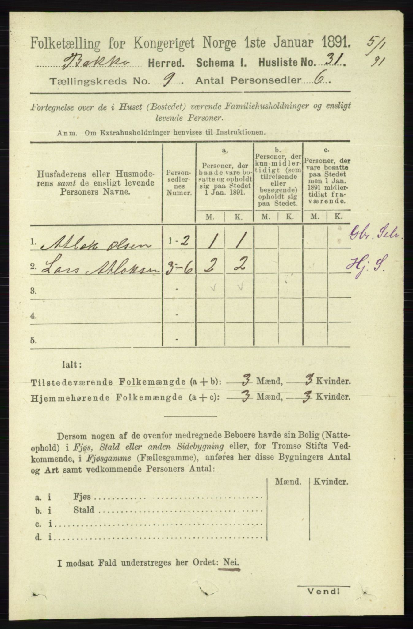 RA, 1891 census for 1045 Bakke, 1891, p. 1744