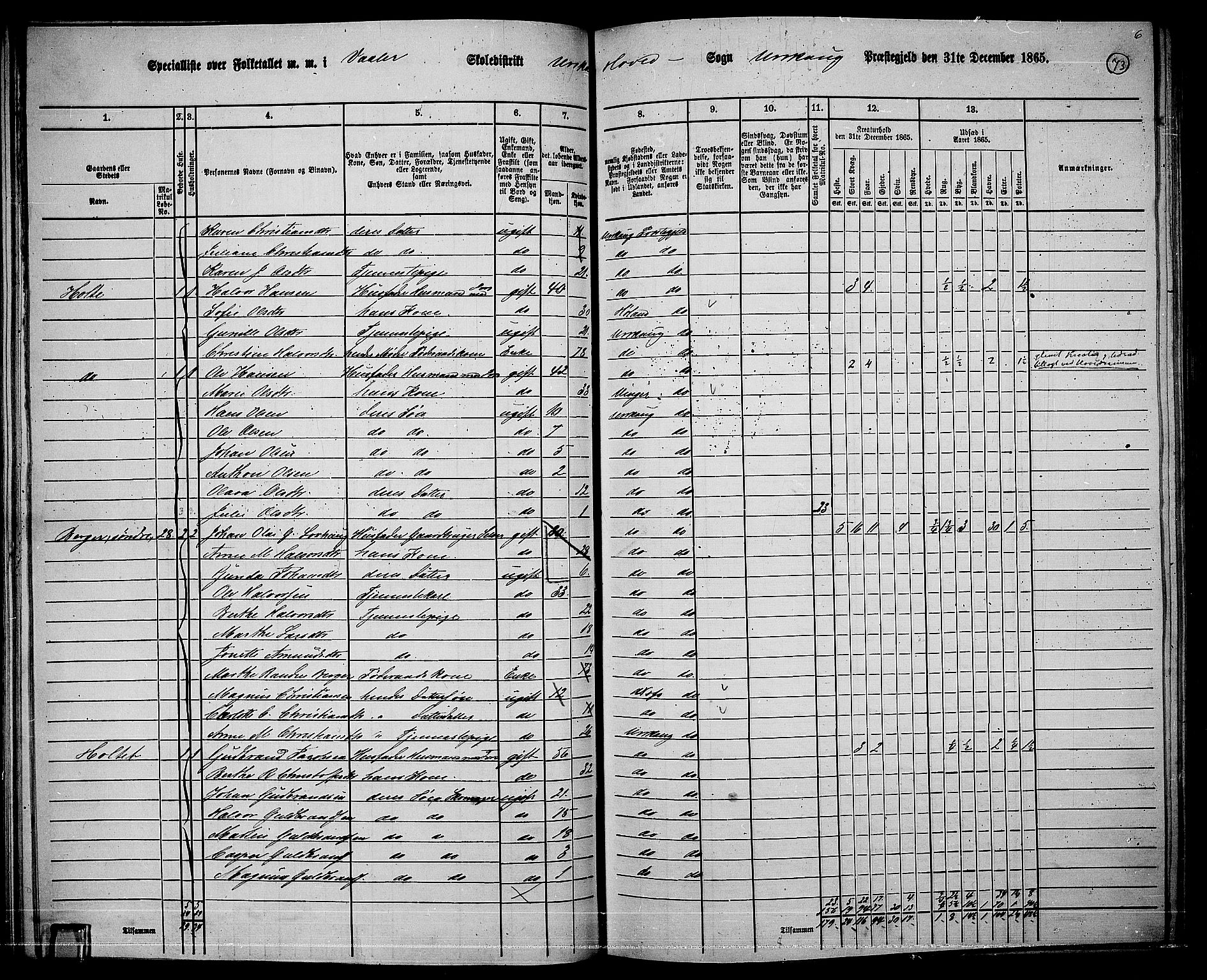 RA, 1865 census for Aurskog, 1865, p. 67