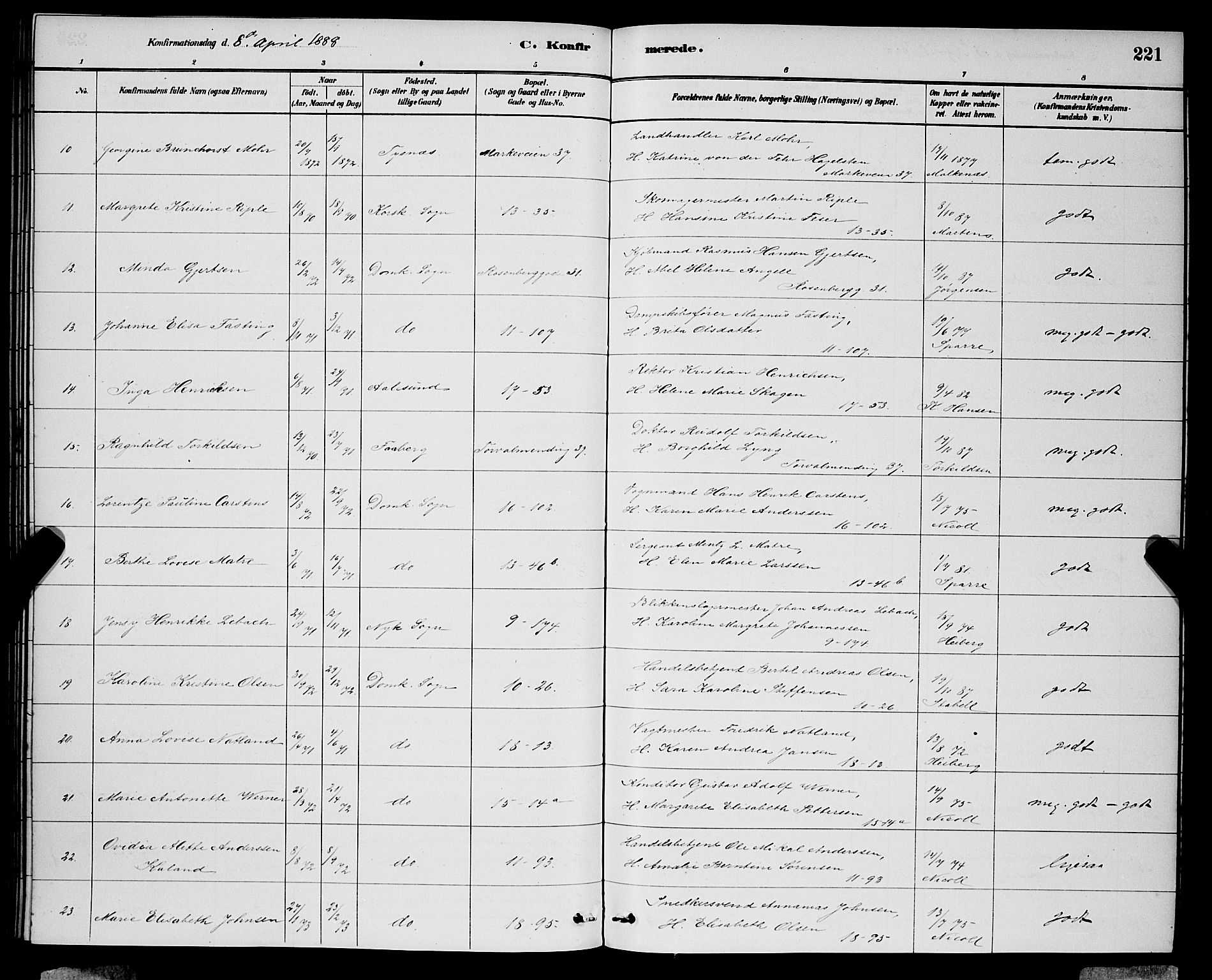 Domkirken sokneprestembete, SAB/A-74801/H/Hab/L0024: Parish register (copy) no. C 4, 1880-1899, p. 221