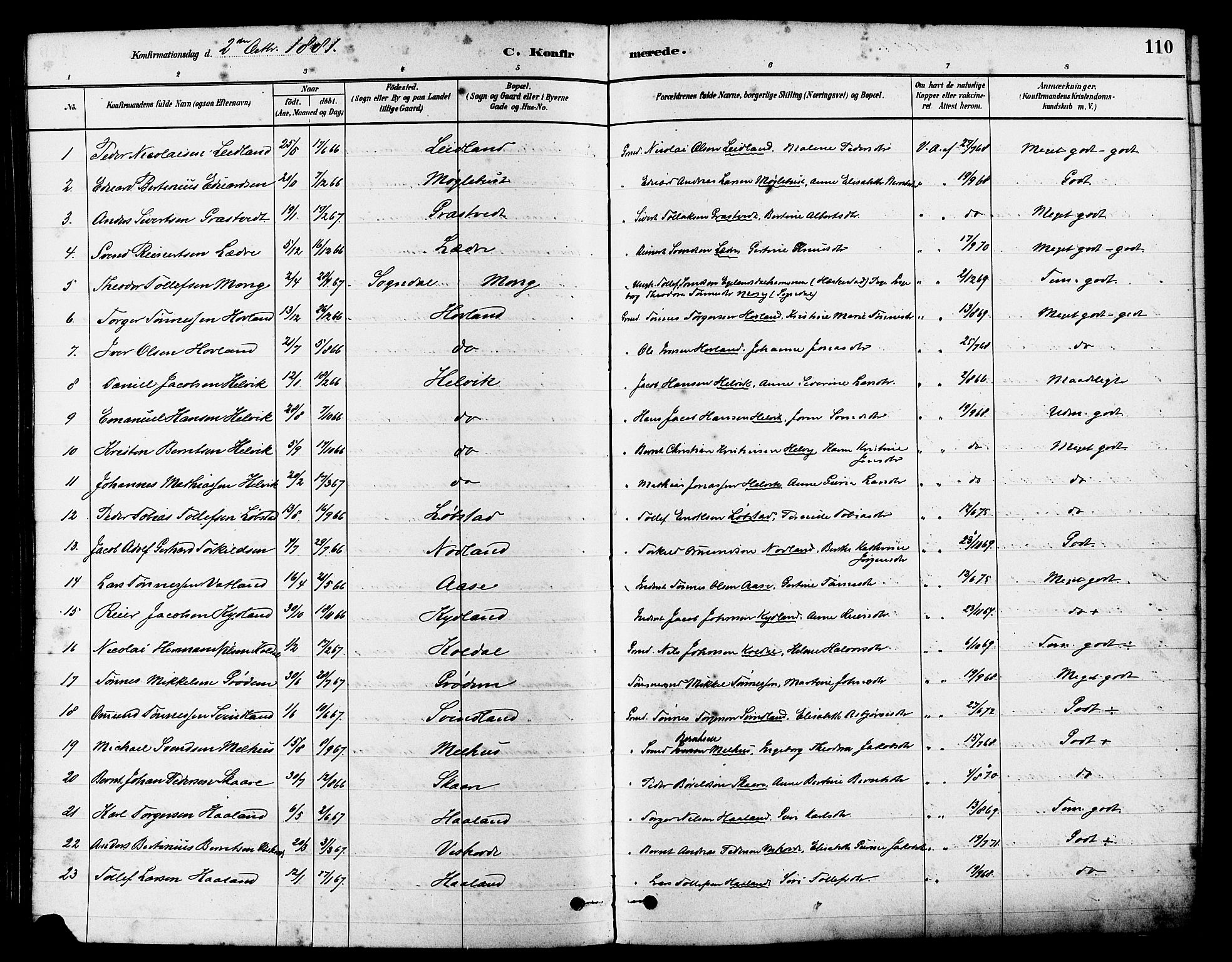 Eigersund sokneprestkontor, SAST/A-101807/S08/L0017: Parish register (official) no. A 14, 1879-1892, p. 110