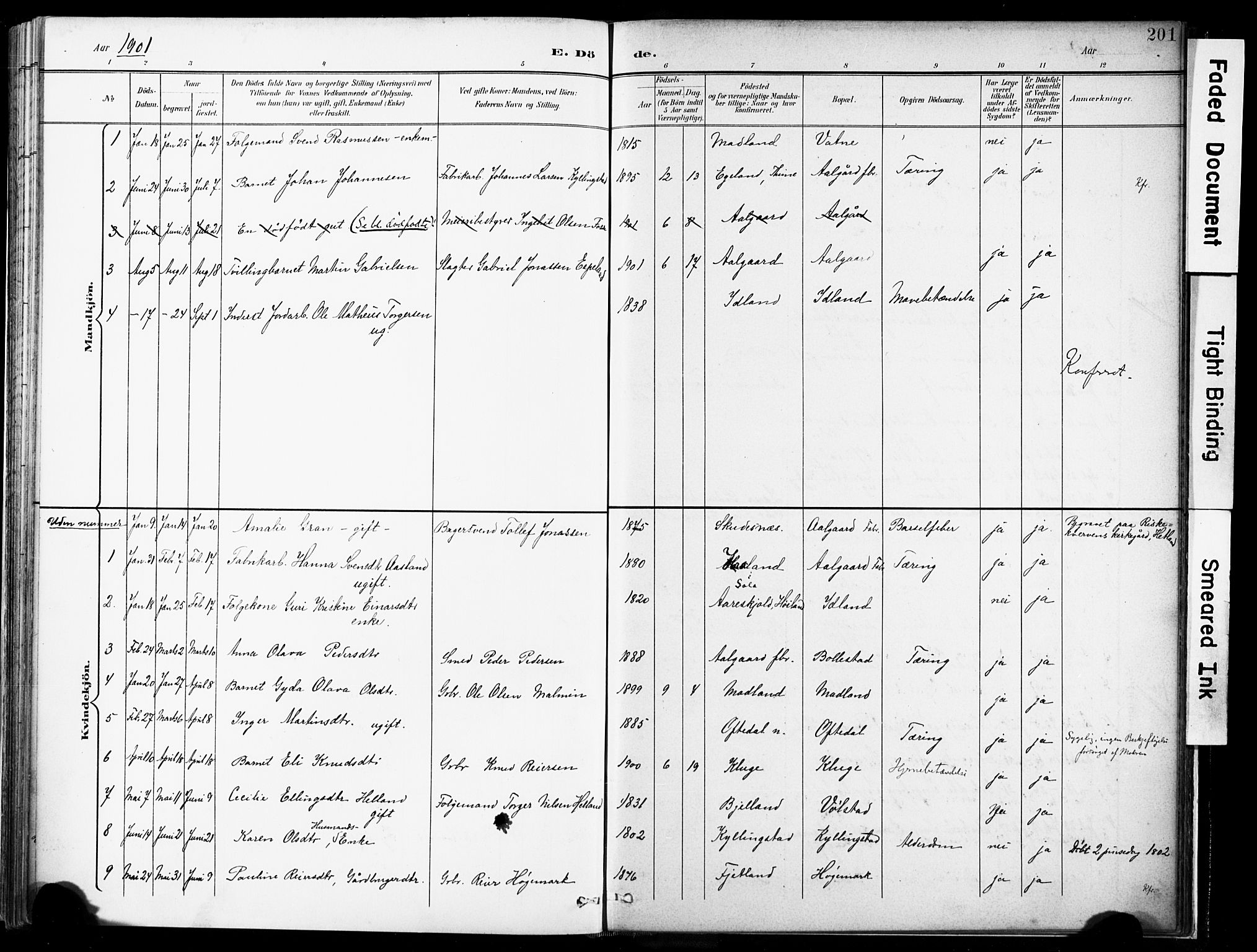 Lye sokneprestkontor, AV/SAST-A-101794/001/30BA/L0012: Parish register (official) no. A 11, 1896-1909, p. 201