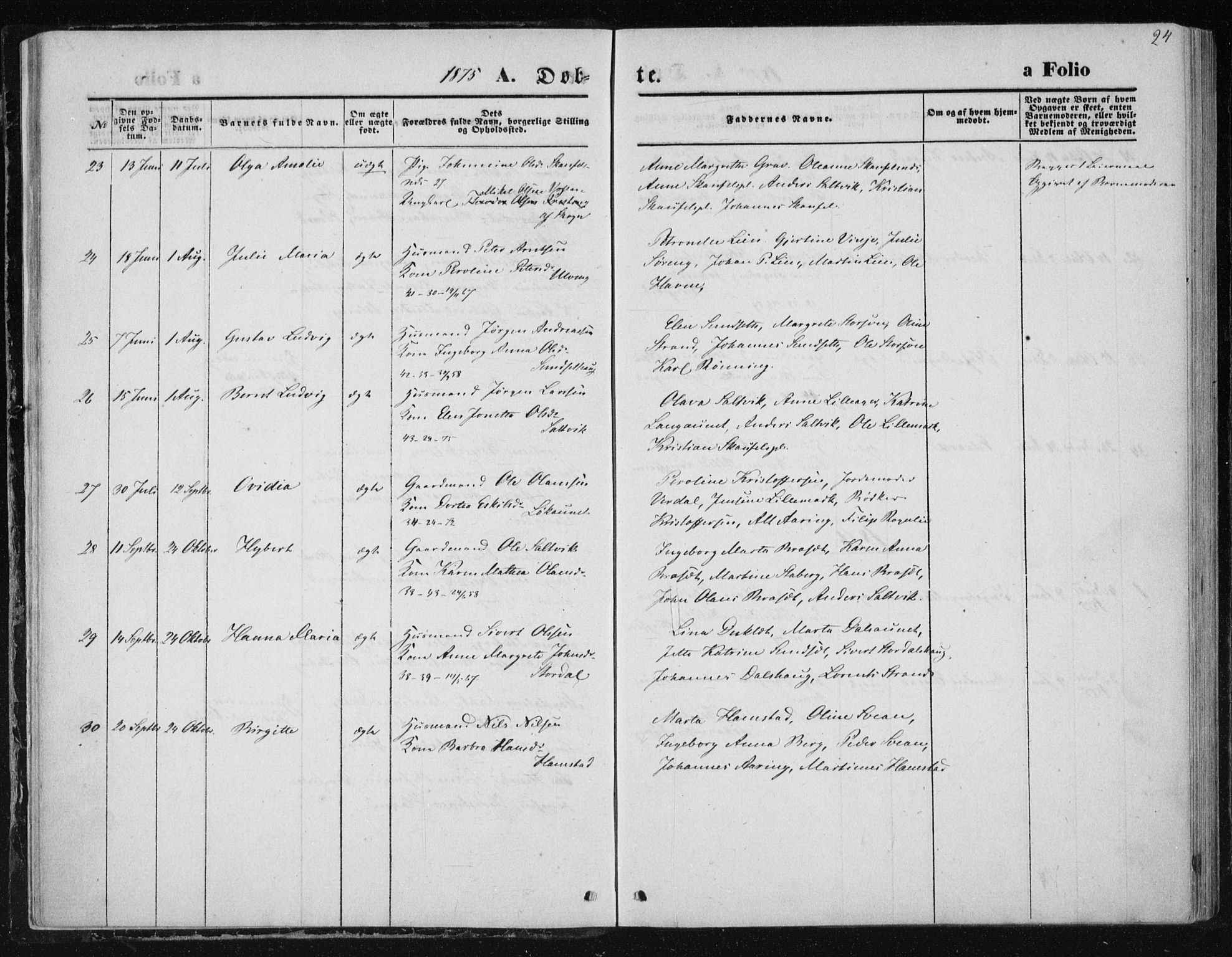 Ministerialprotokoller, klokkerbøker og fødselsregistre - Nord-Trøndelag, AV/SAT-A-1458/733/L0324: Parish register (official) no. 733A03, 1870-1883, p. 24