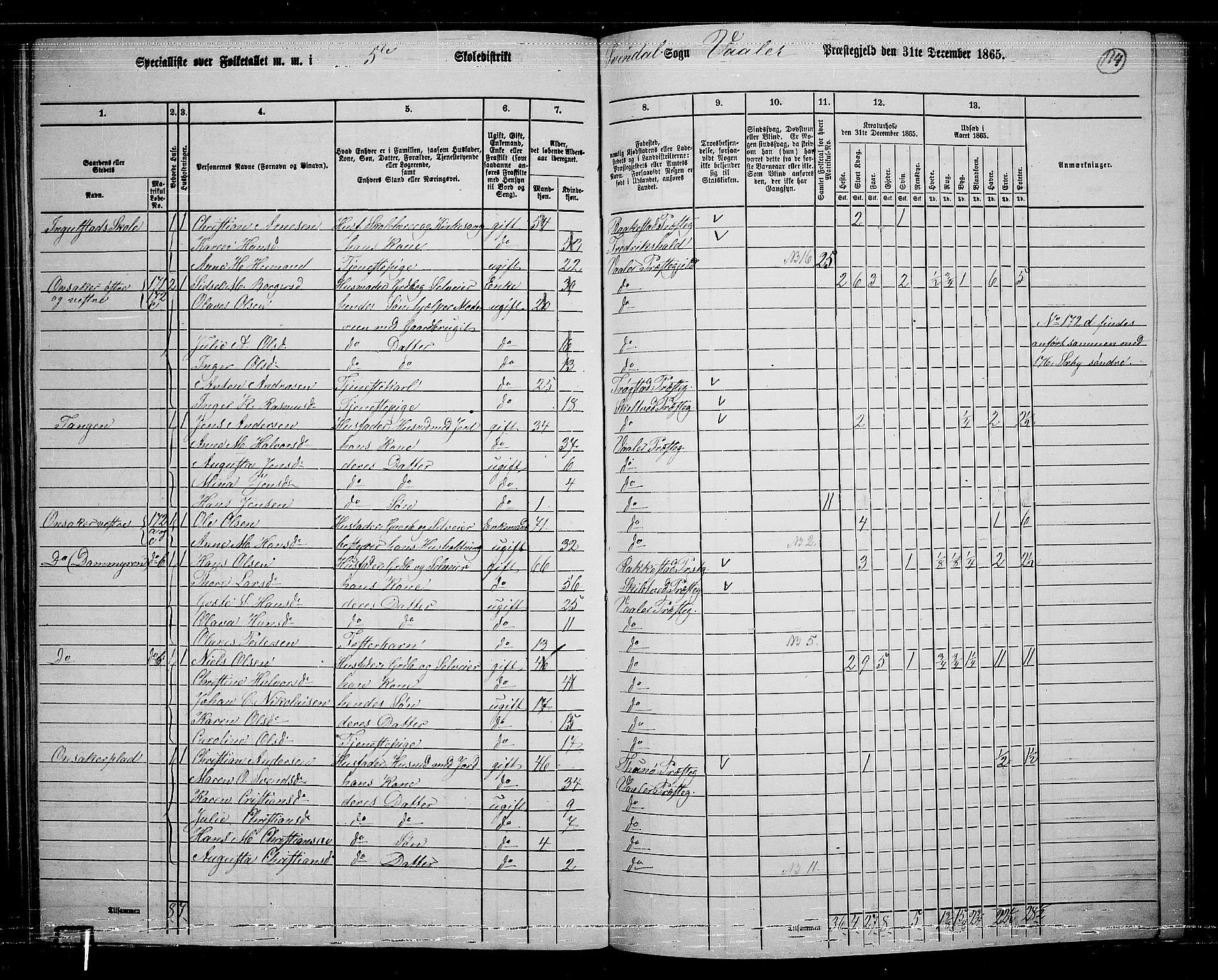 RA, 1865 census for Våler, 1865, p. 100