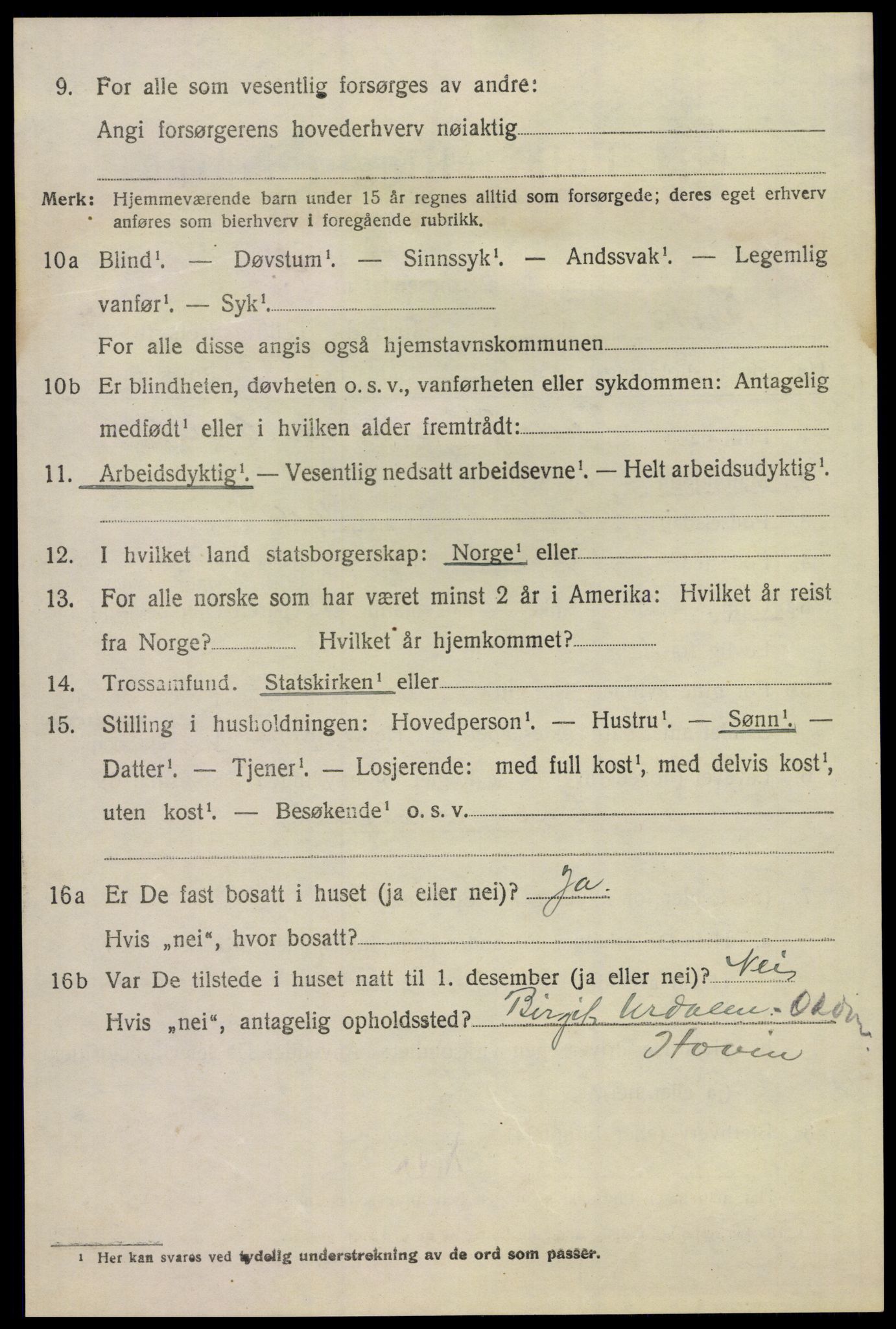 SAKO, 1920 census for Hovin, 1920, p. 1724