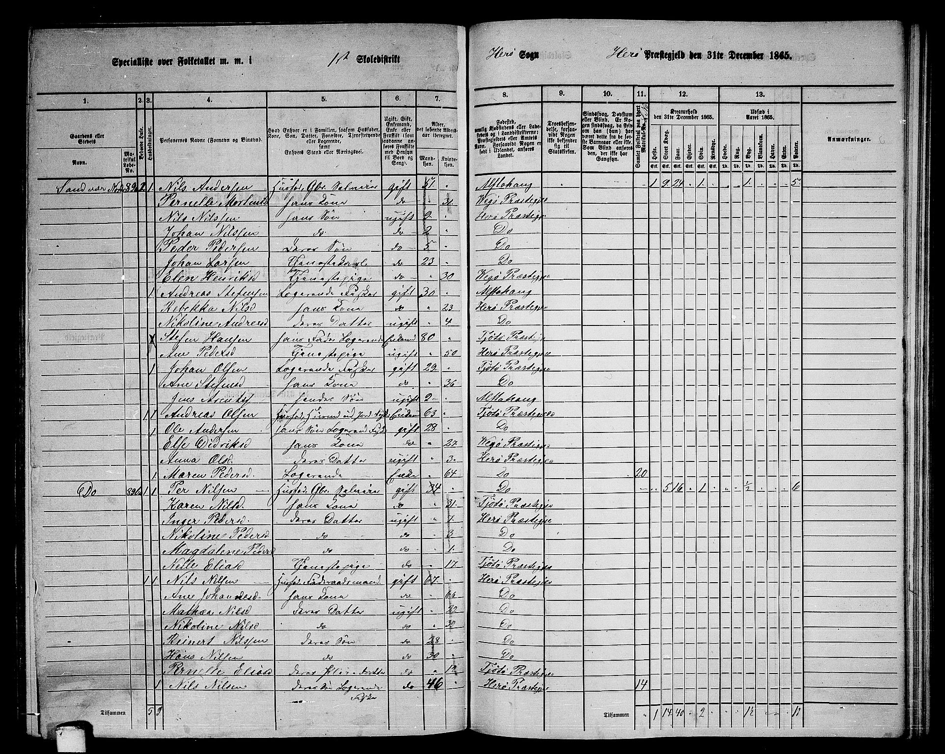 RA, 1865 census for Herøy, 1865, p. 8