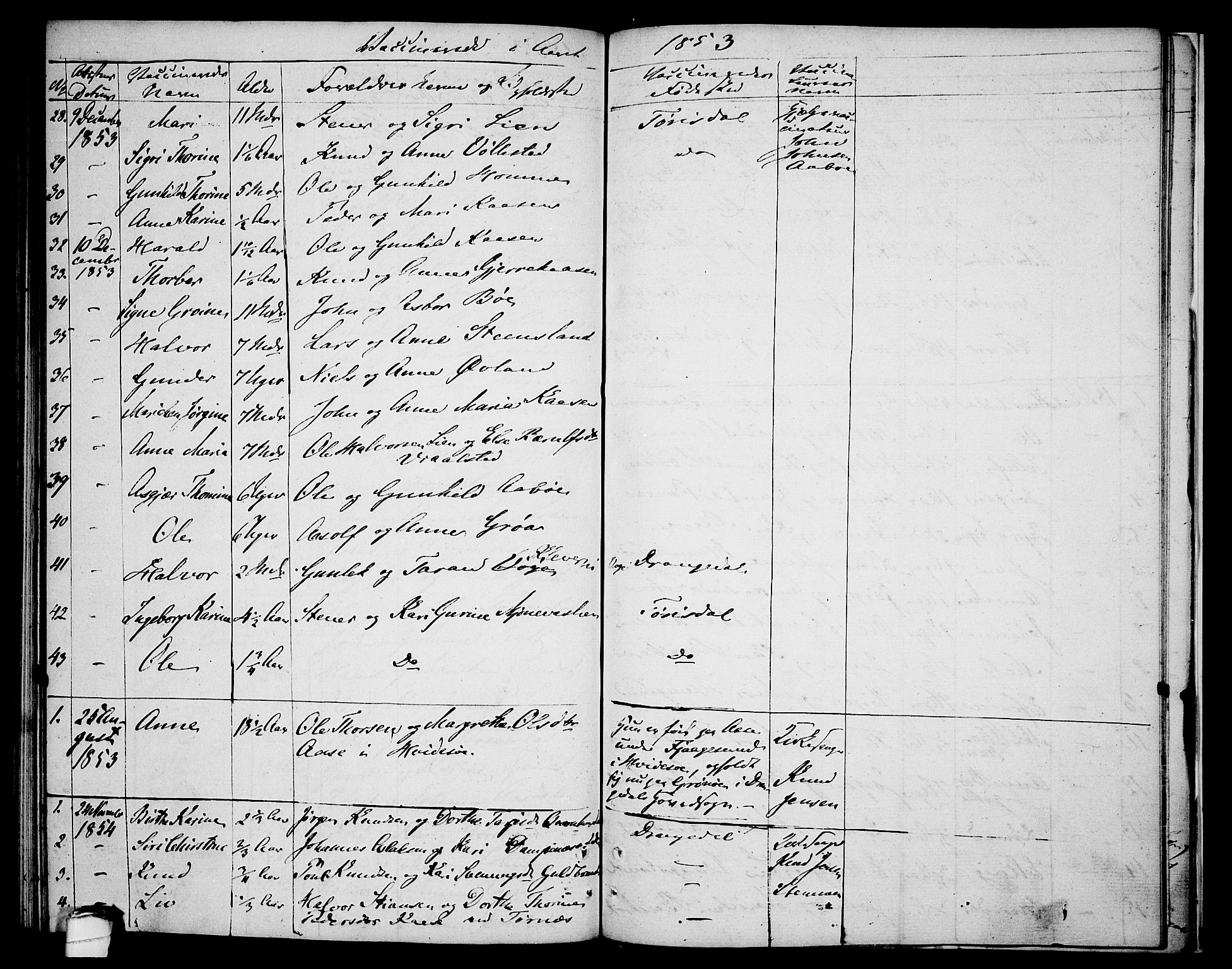 Drangedal kirkebøker, AV/SAKO-A-258/F/Fa/L0004: Parish register (official) no. 4, 1802-1814