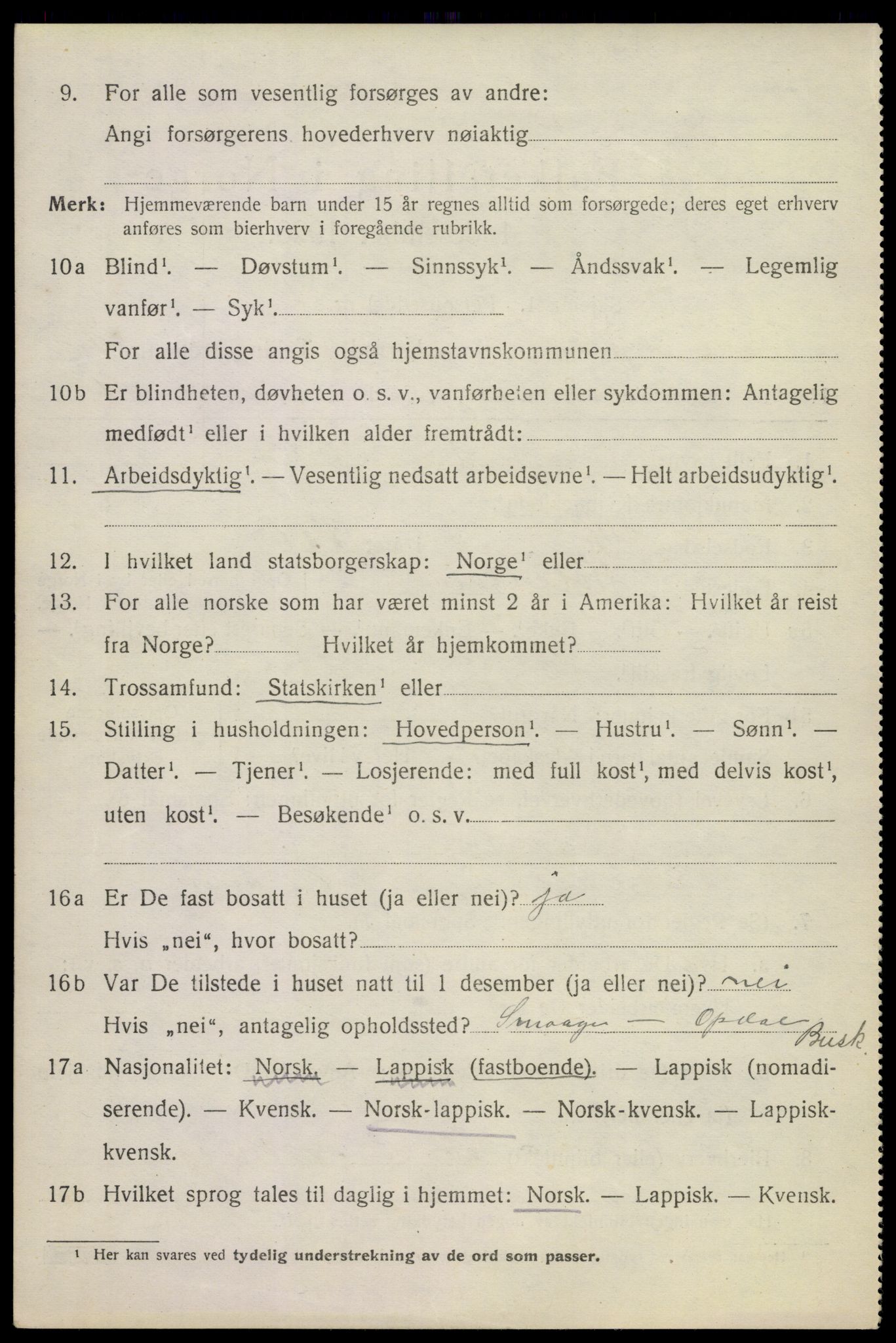 SAKO, 1920 census for Uvdal, 1920, p. 3070