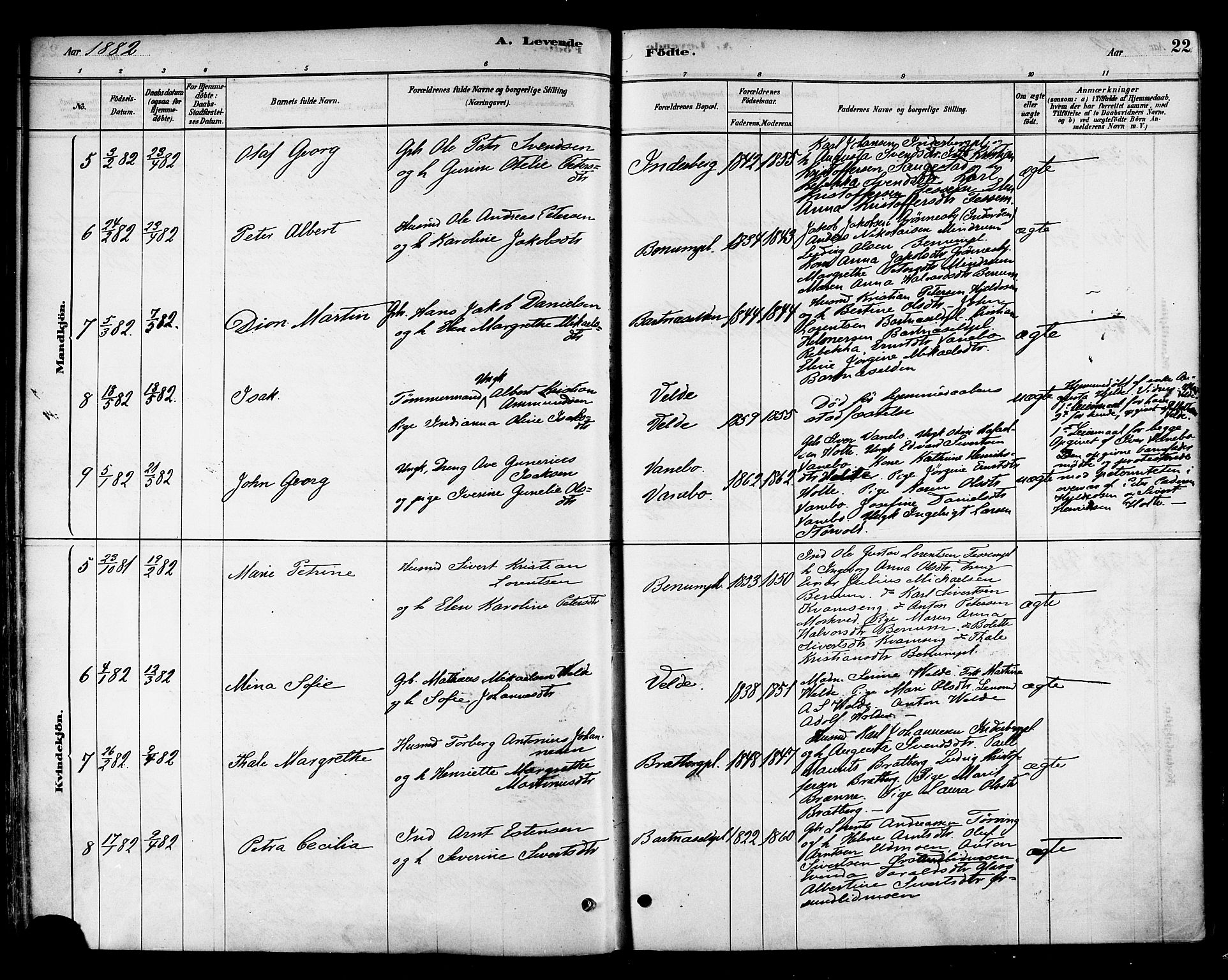 Ministerialprotokoller, klokkerbøker og fødselsregistre - Nord-Trøndelag, AV/SAT-A-1458/741/L0395: Parish register (official) no. 741A09, 1878-1888, p. 22