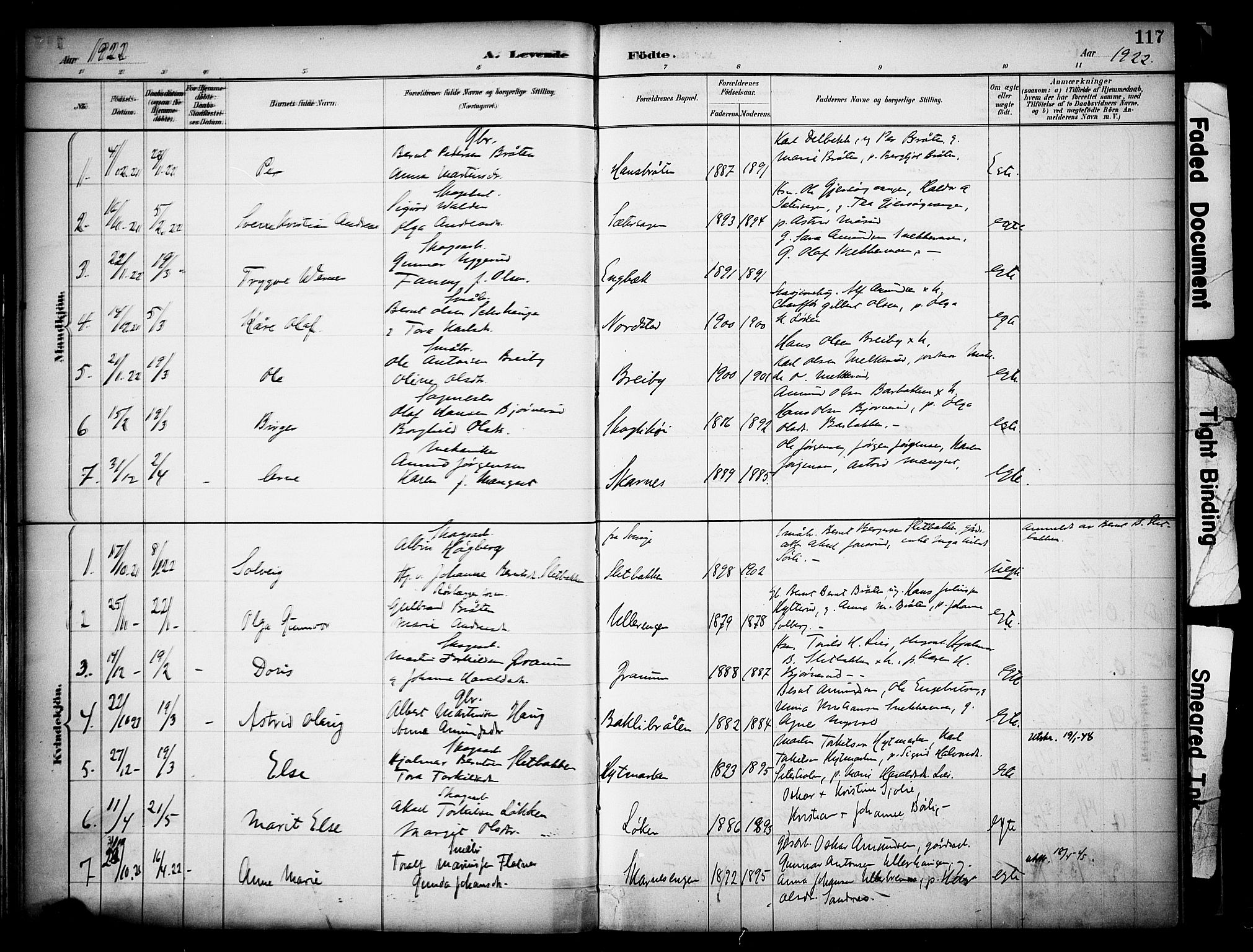 Sør-Odal prestekontor, AV/SAH-PREST-030/H/Ha/Haa/L0008: Parish register (official) no. 8, 1886-1922, p. 117