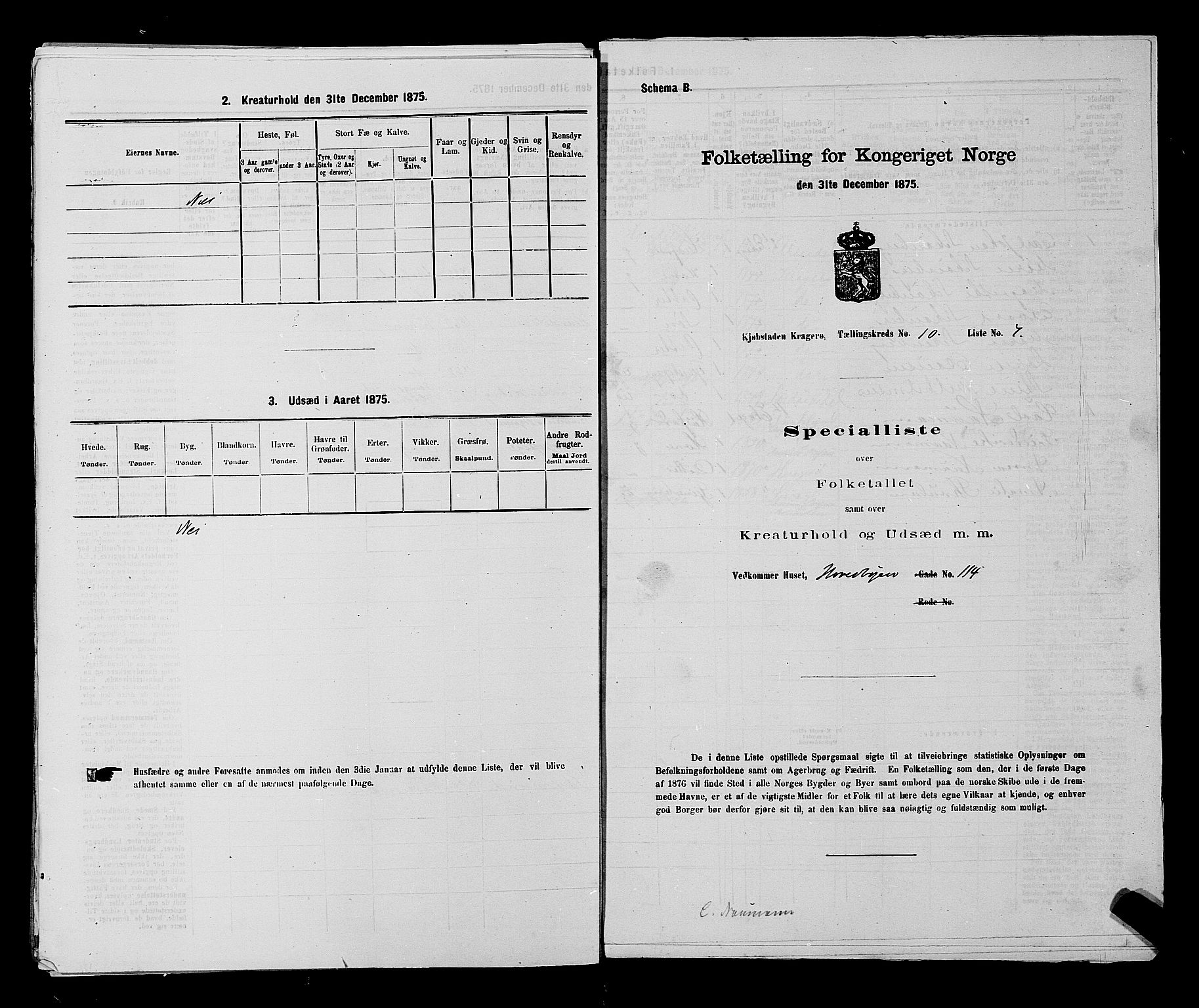 SAKO, 1875 census for 0801P Kragerø, 1875, p. 226