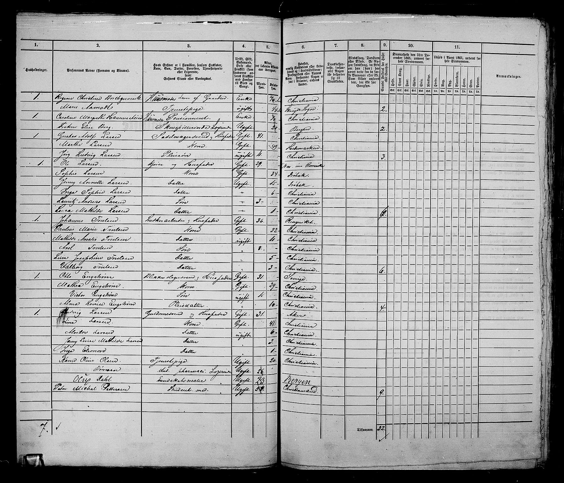 RA, 1865 census for Kristiania, 1865, p. 1717