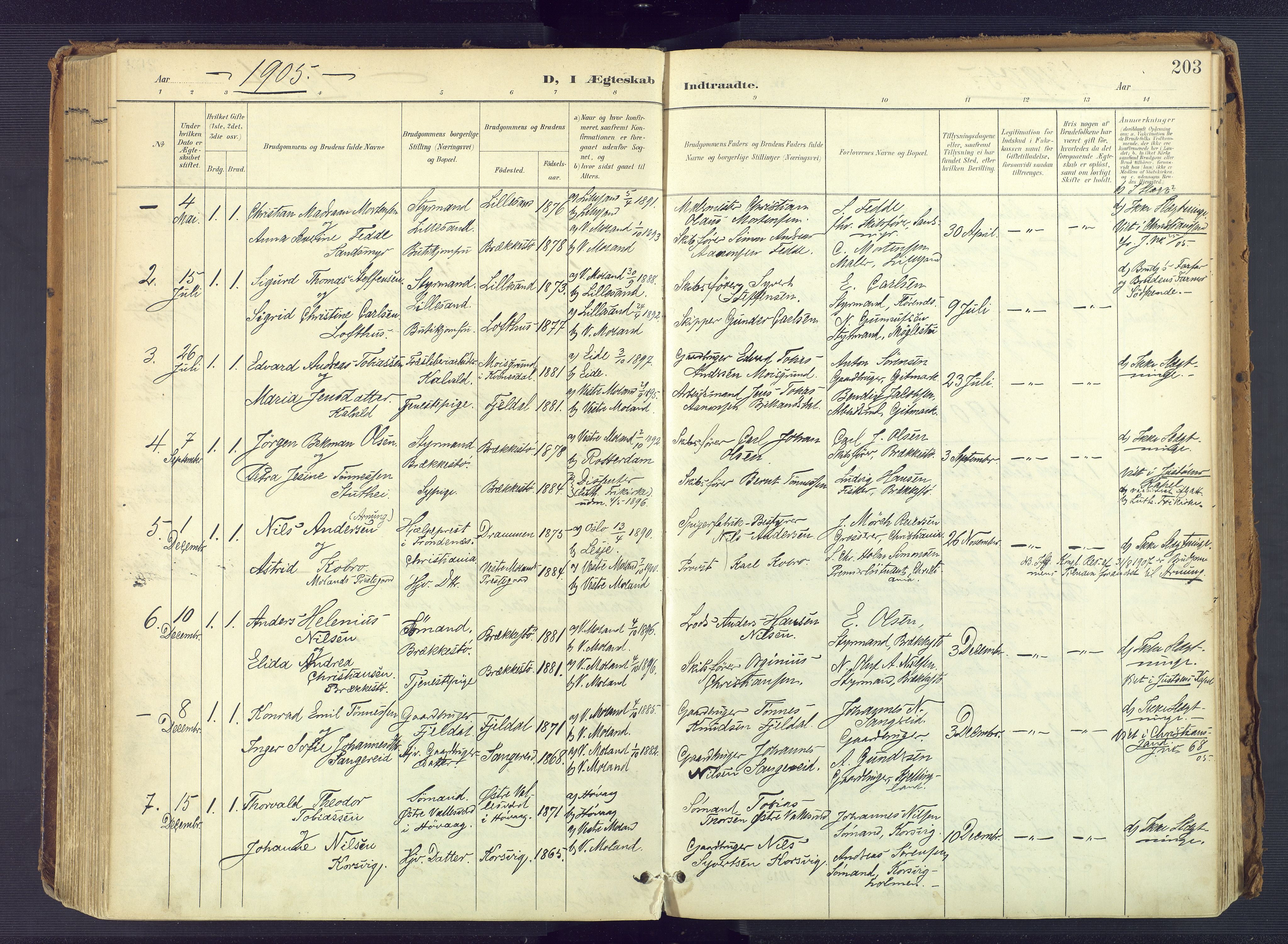 Vestre Moland sokneprestkontor, SAK/1111-0046/F/Fa/Fab/L0010: Parish register (official) no. A 10, 1900-1926, p. 203