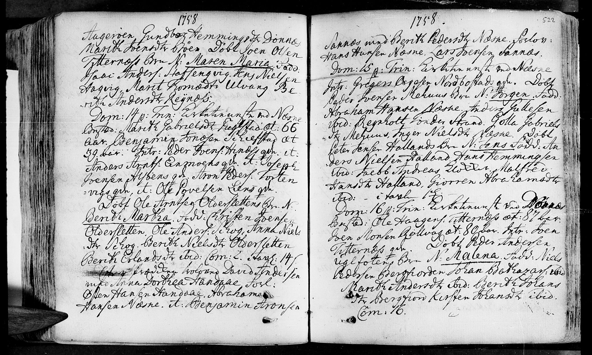Ministerialprotokoller, klokkerbøker og fødselsregistre - Nordland, SAT/A-1459/838/L0543: Parish register (official) no. 838A02, 1738-1769, p. 521-522