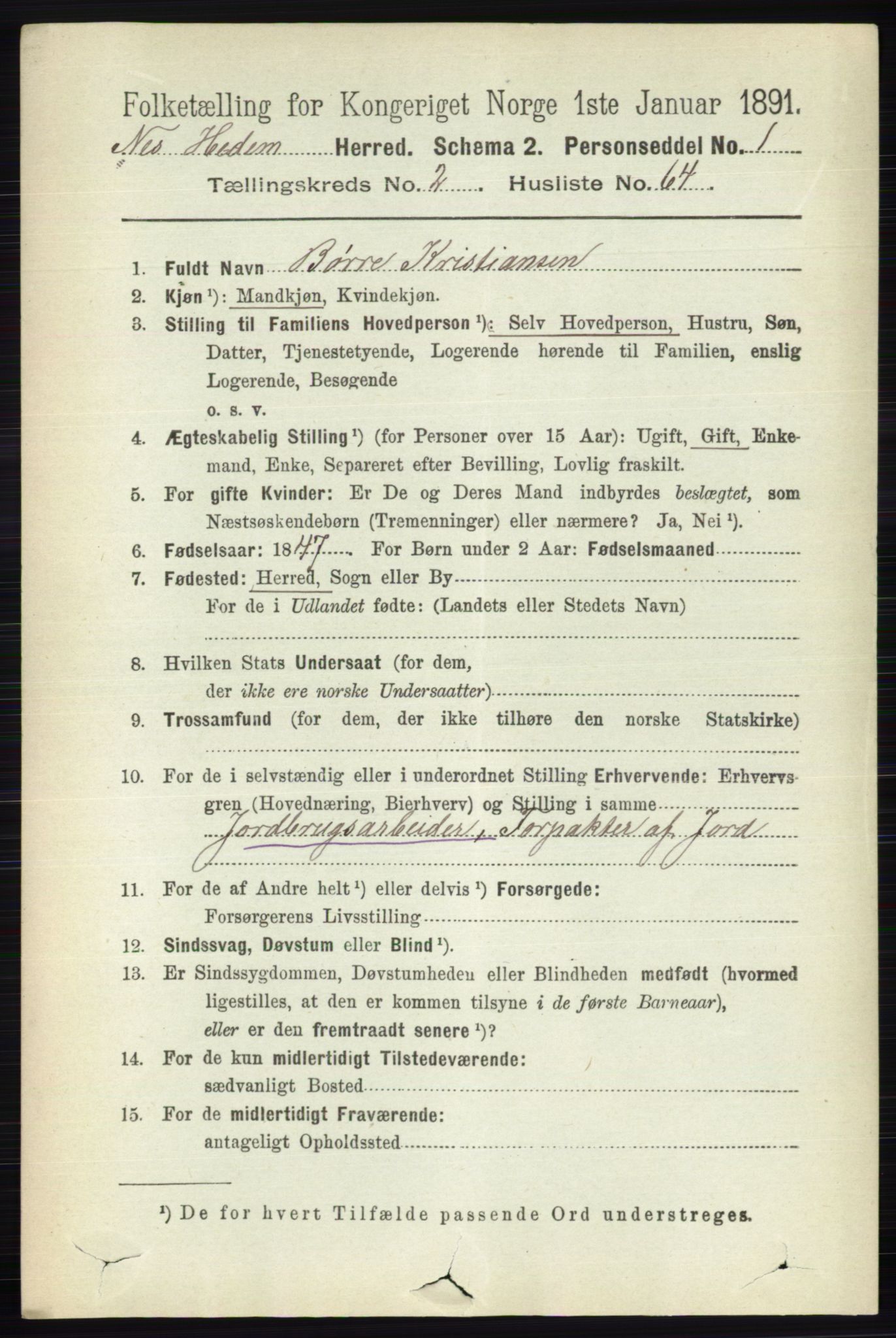 RA, 1891 census for 0411 Nes, 1891, p. 1515