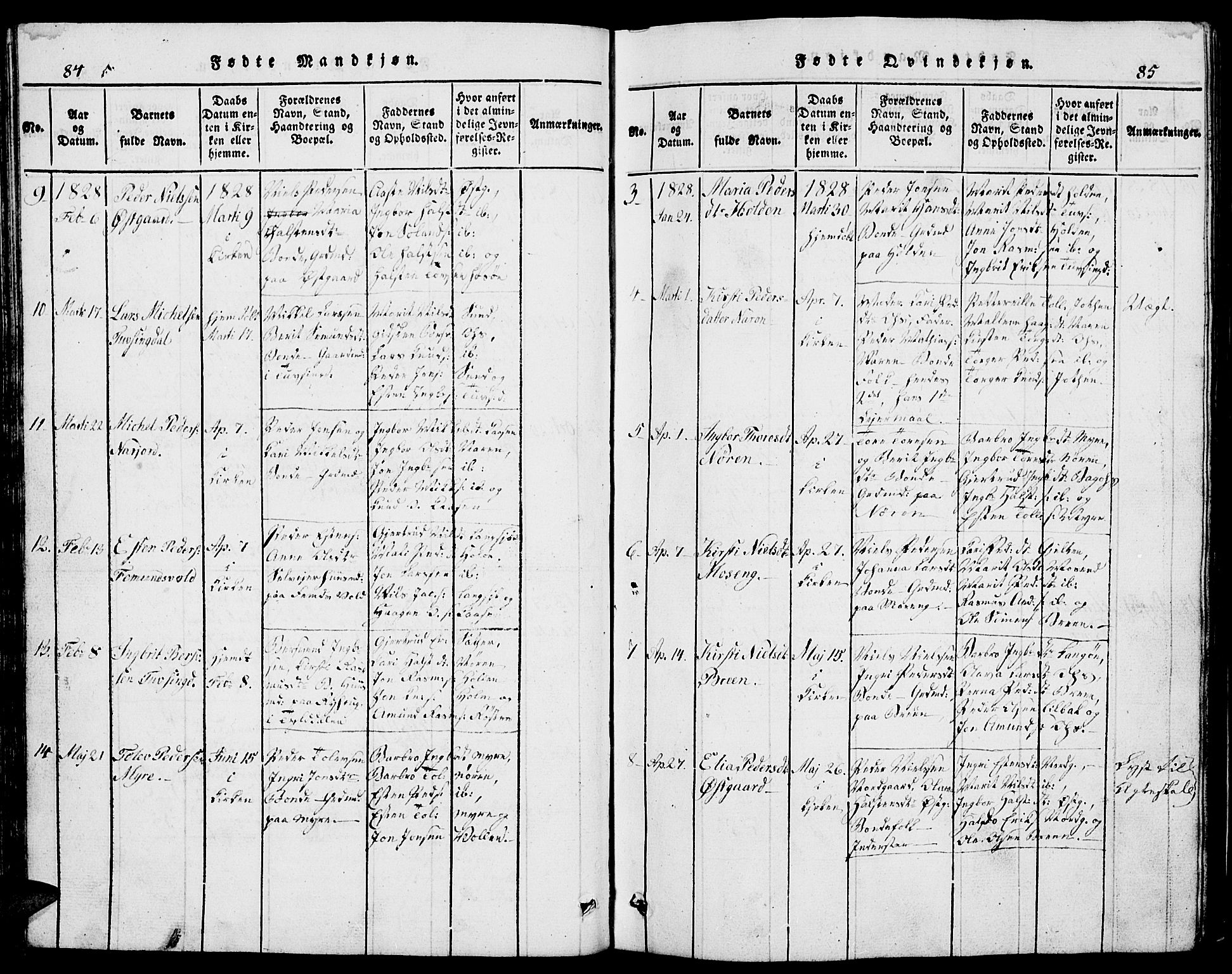 Tolga prestekontor, AV/SAH-PREST-062/L/L0002: Parish register (copy) no. 2, 1815-1844, p. 84-85