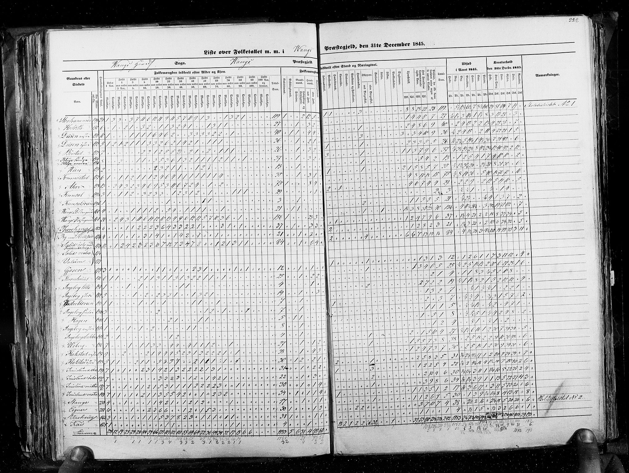 RA, Census 1845, vol. 3: Hedemarken amt og Kristians amt, 1845, p. 222