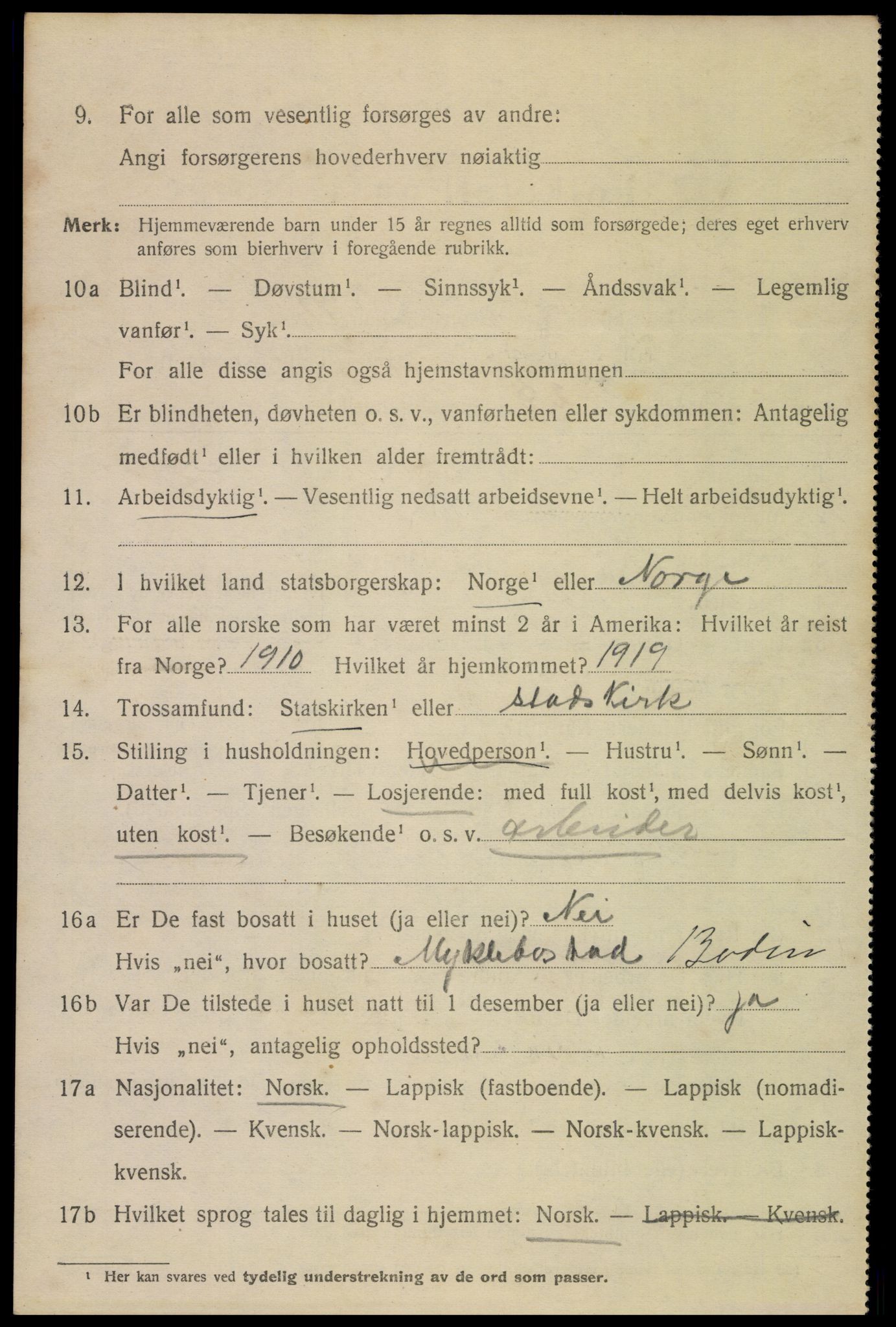 SAT, 1920 census for Bodø, 1920, p. 13318