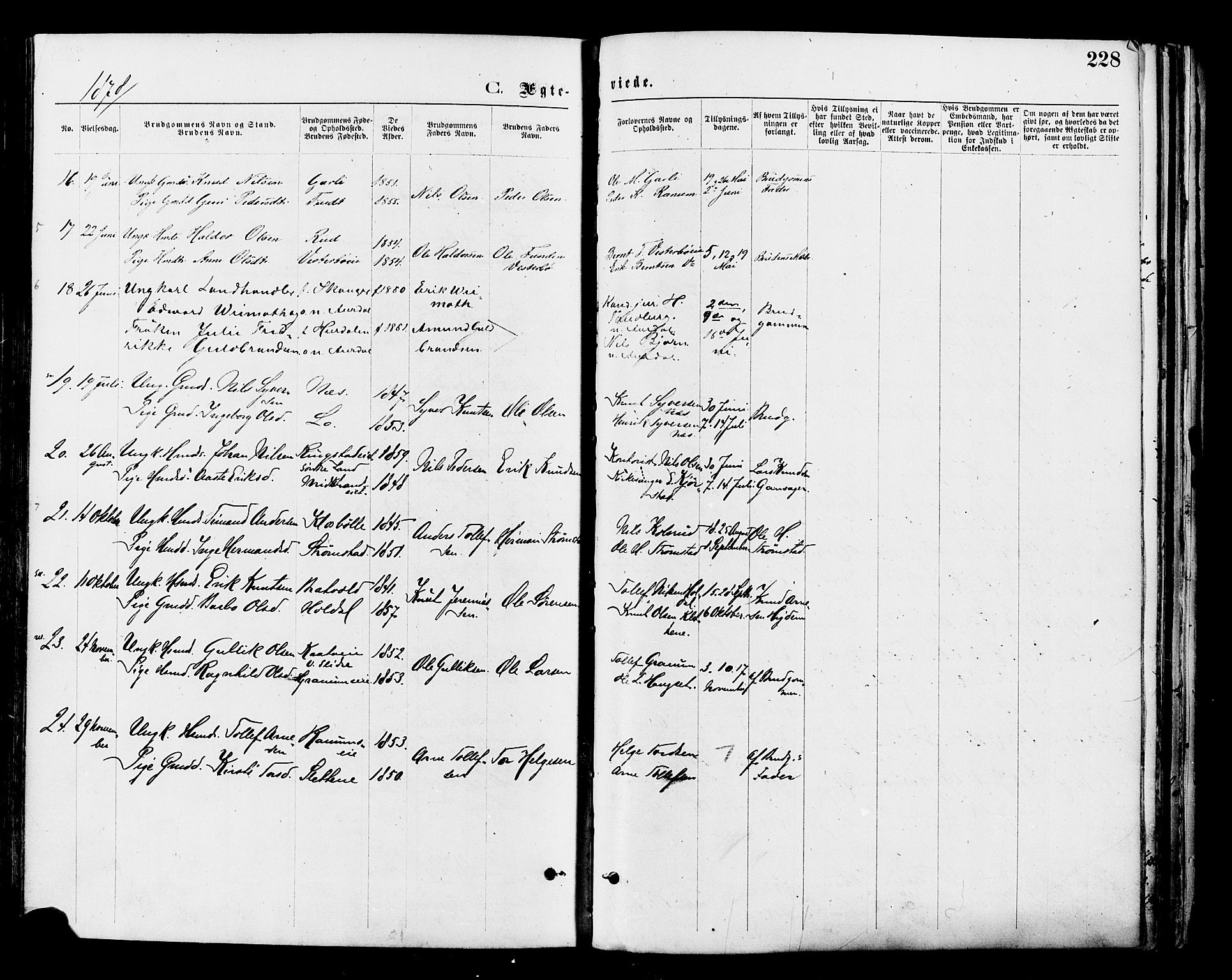 Nord-Aurdal prestekontor, SAH/PREST-132/H/Ha/Haa/L0009: Parish register (official) no. 9, 1876-1882, p. 228