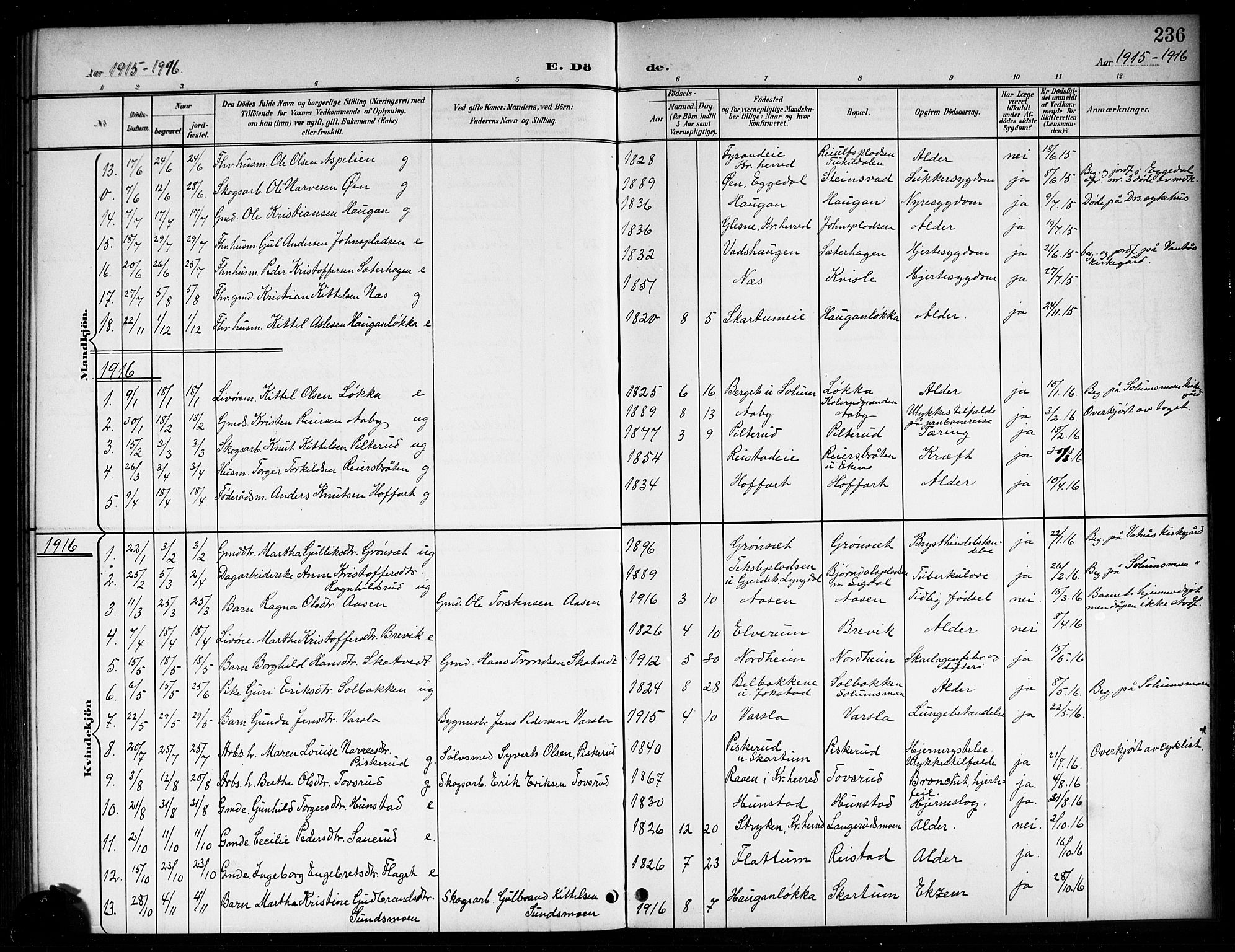 Sigdal kirkebøker, SAKO/A-245/G/Ga/L0006: Parish register (copy) no. I 6, 1901-1916, p. 236