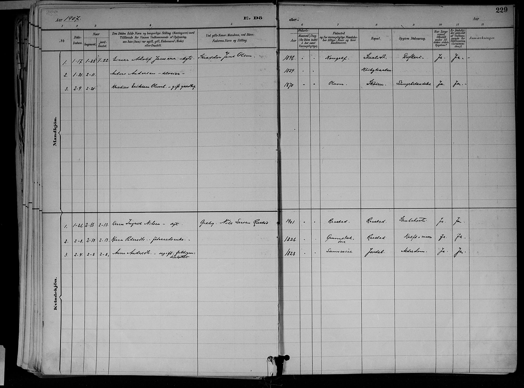 Jevnaker prestekontor, SAH/PREST-116/H/Ha/Haa/L0010: Parish register (official) no. 10, 1891-1906, p. 229