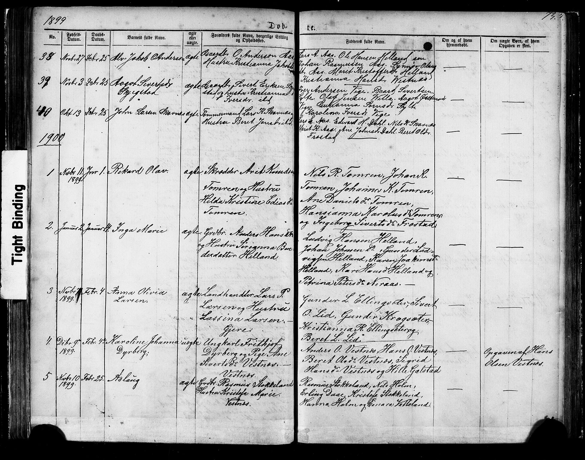 Ministerialprotokoller, klokkerbøker og fødselsregistre - Møre og Romsdal, AV/SAT-A-1454/539/L0536: Parish register (copy) no. 539C02, 1867-1913, p. 73