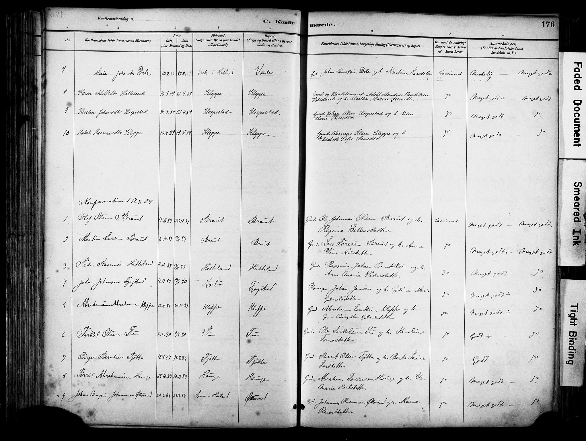 Klepp sokneprestkontor, AV/SAST-A-101803/001/3/30BA/L0009: Parish register (official) no. A 7, 1886-1915, p. 176