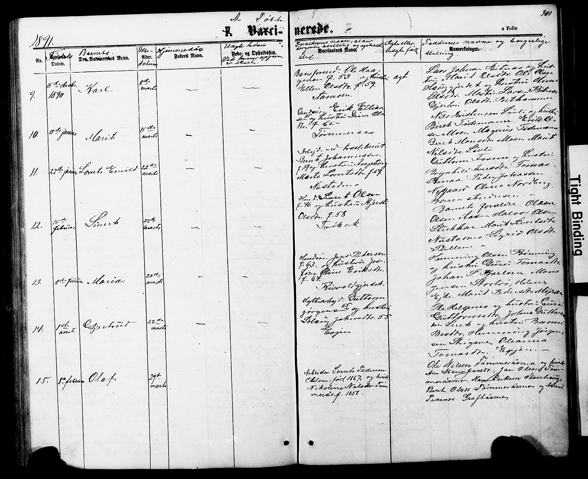 Ministerialprotokoller, klokkerbøker og fødselsregistre - Nord-Trøndelag, AV/SAT-A-1458/706/L0049: Parish register (copy) no. 706C01, 1864-1895, p. 301