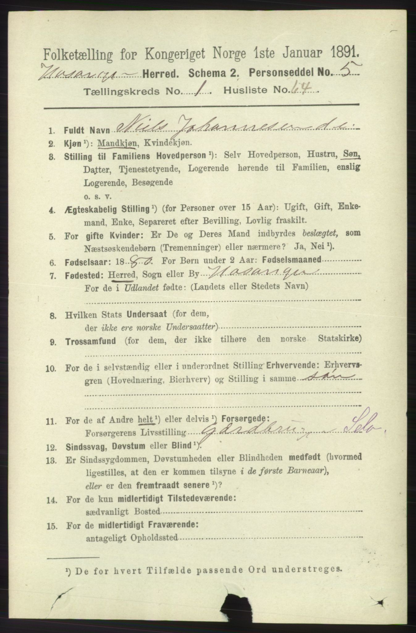 RA, 1891 census for 1253 Hosanger, 1891, p. 508