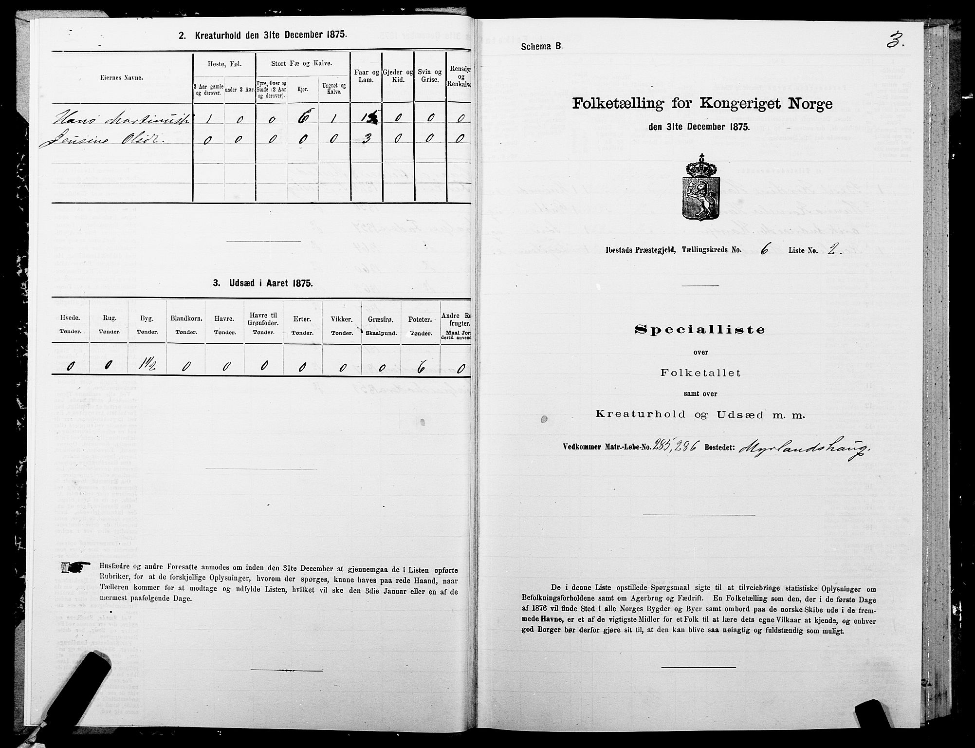 SATØ, 1875 census for 1917P Ibestad, 1875, p. 4003