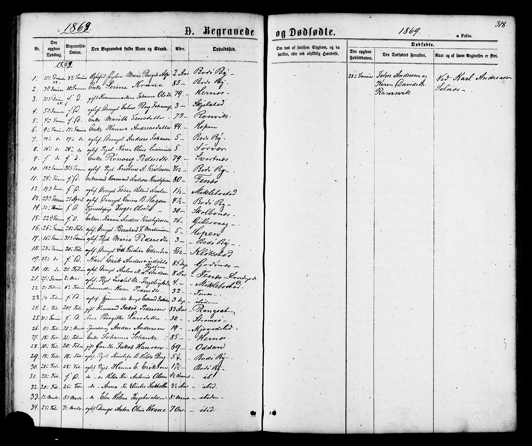 Ministerialprotokoller, klokkerbøker og fødselsregistre - Nordland, SAT/A-1459/801/L0029: Parish register (copy) no. 801C04, 1868-1878, p. 318